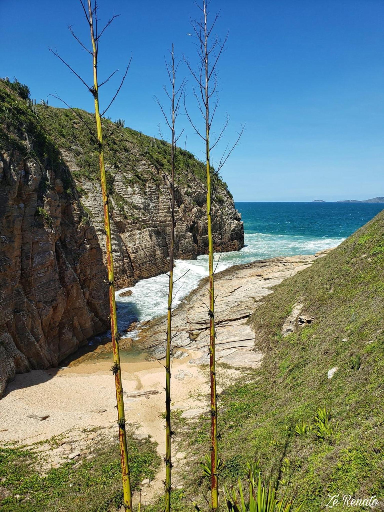 Concha Do Mar Triplex