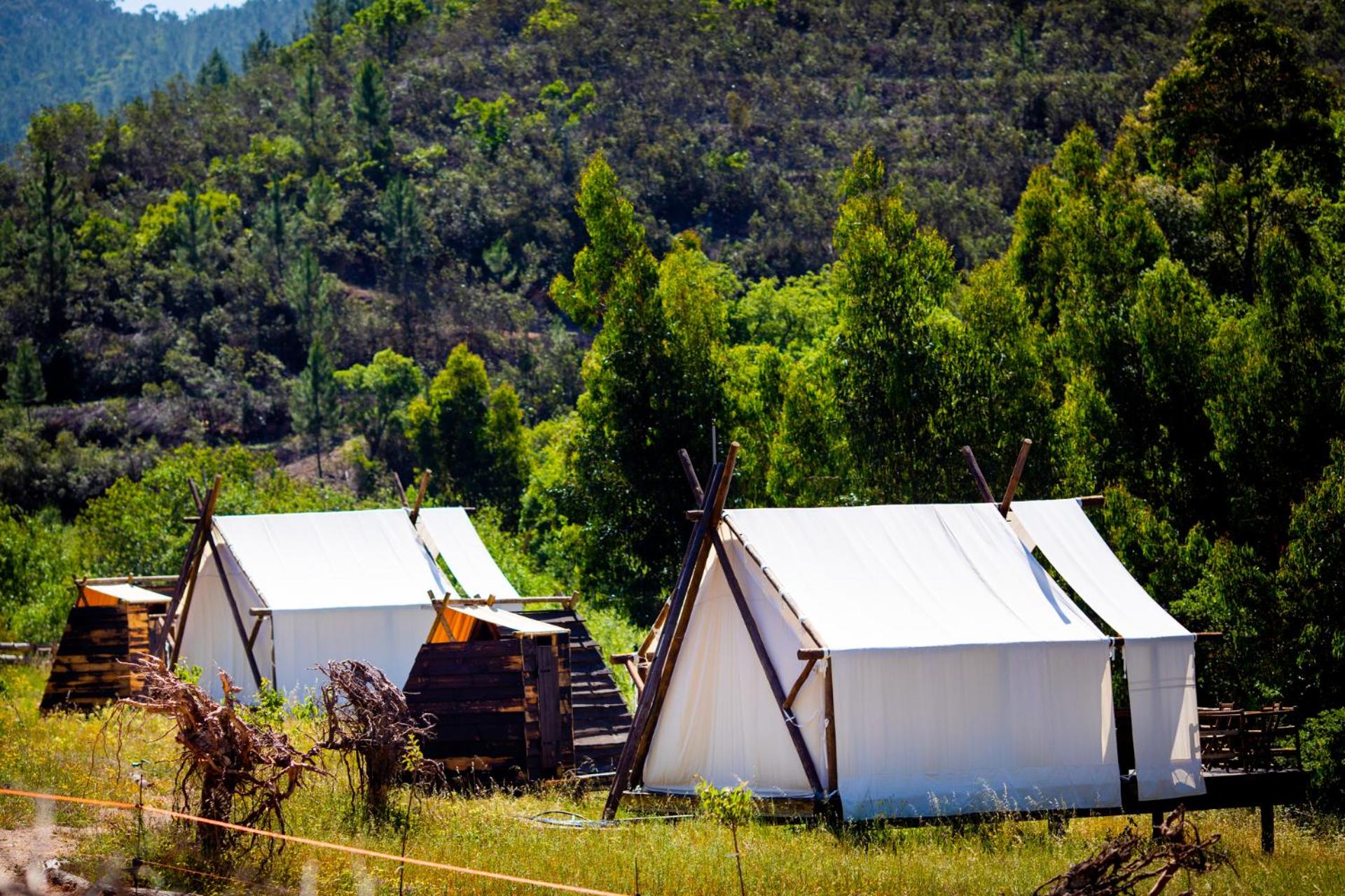 Quinta Alma - Ecological Retreat Farm, photo 113
