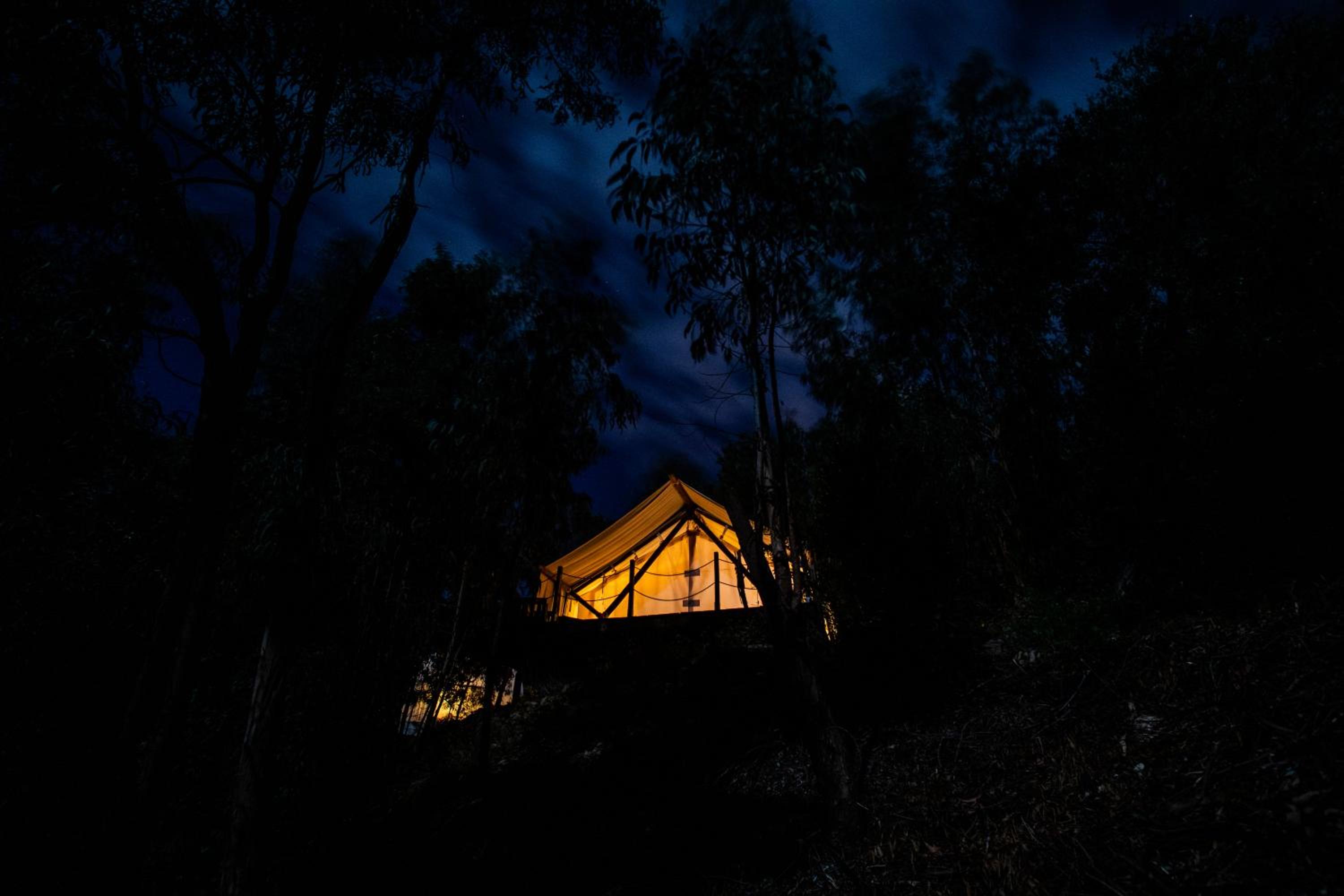Quinta Alma - Ecological Retreat Farm, photo 51
