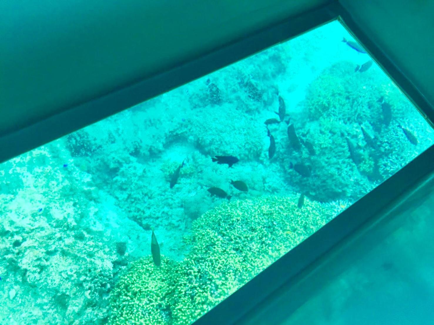 沖縄の自然と文化を体験できるゲストハウス一番座, photo 18