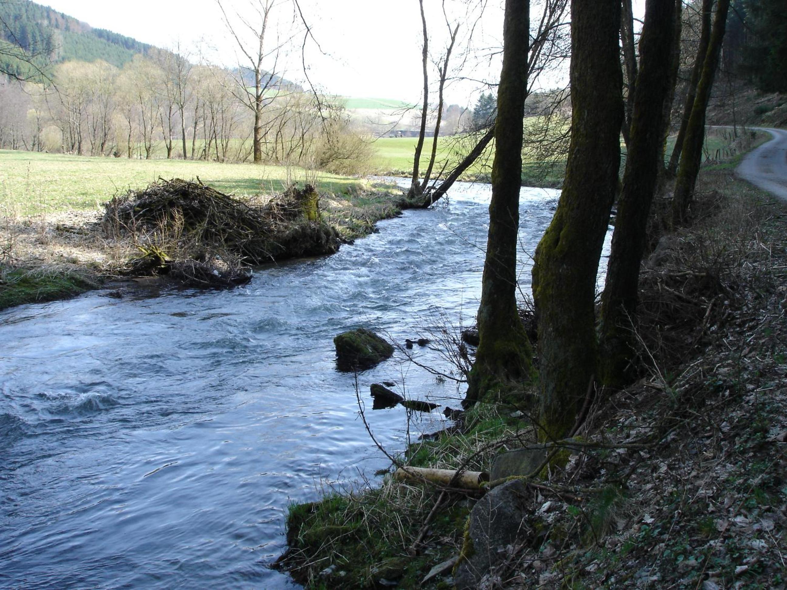 Photo 25