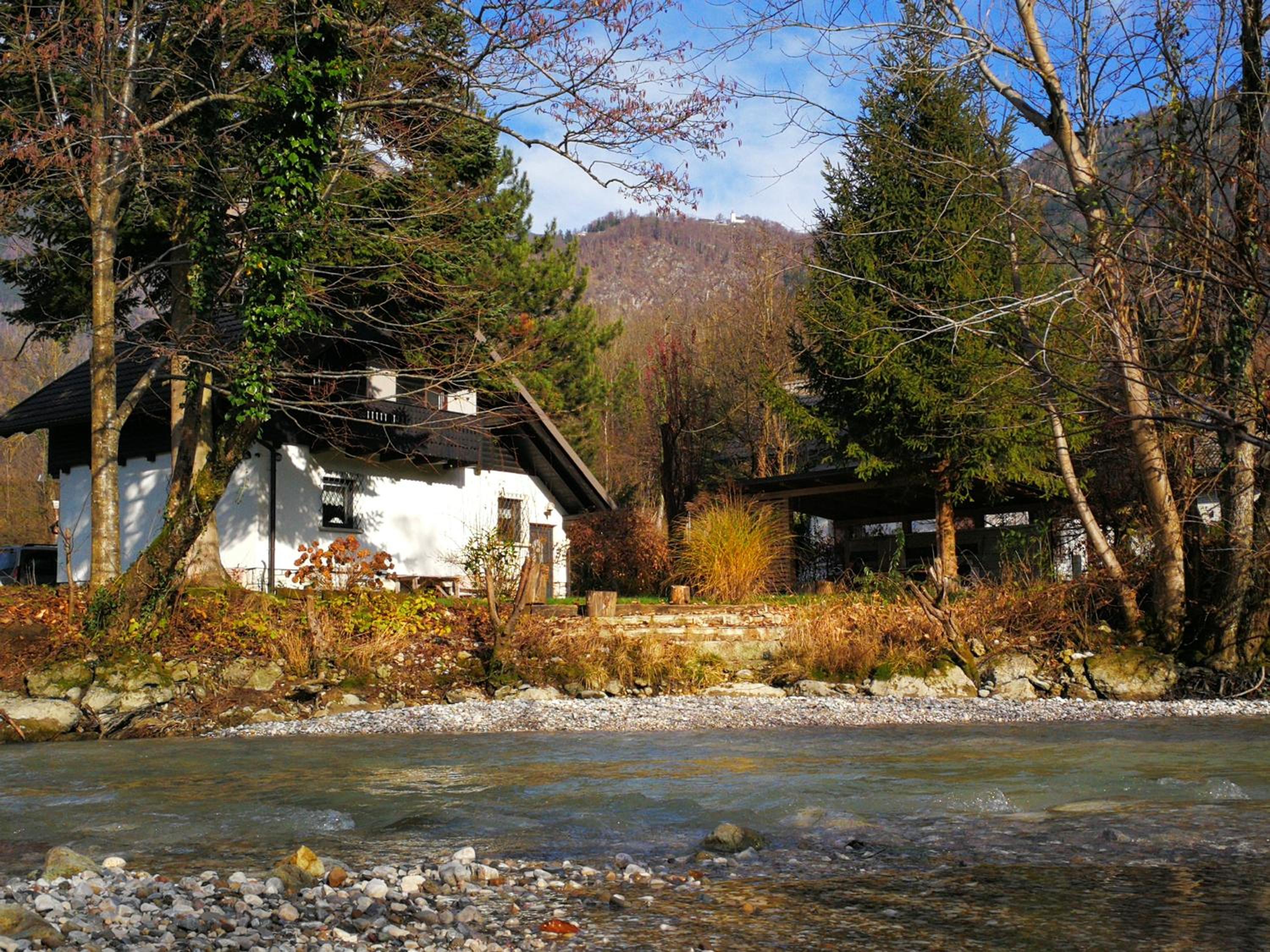 Photo 51