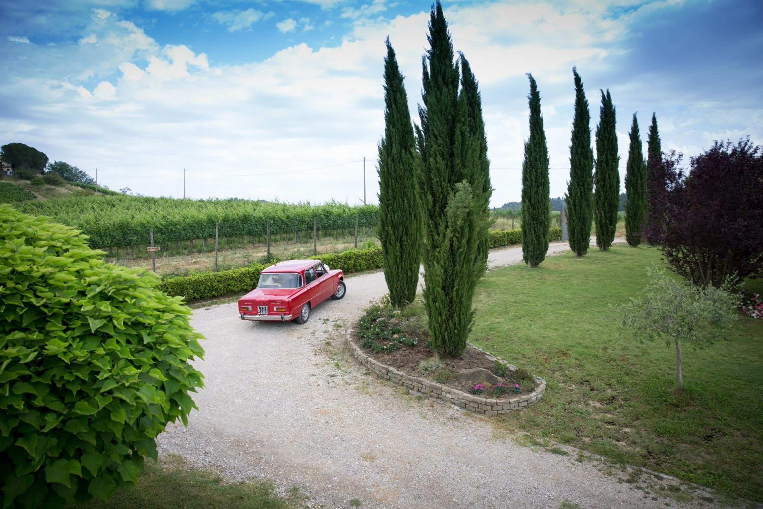 Il Gufo del Chianti view 3