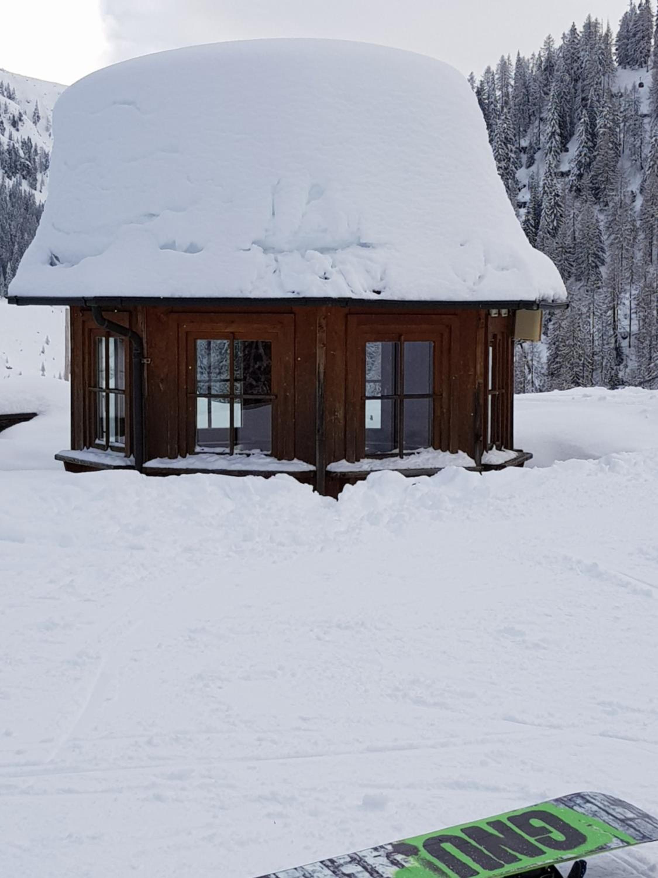 Haus Bayliss