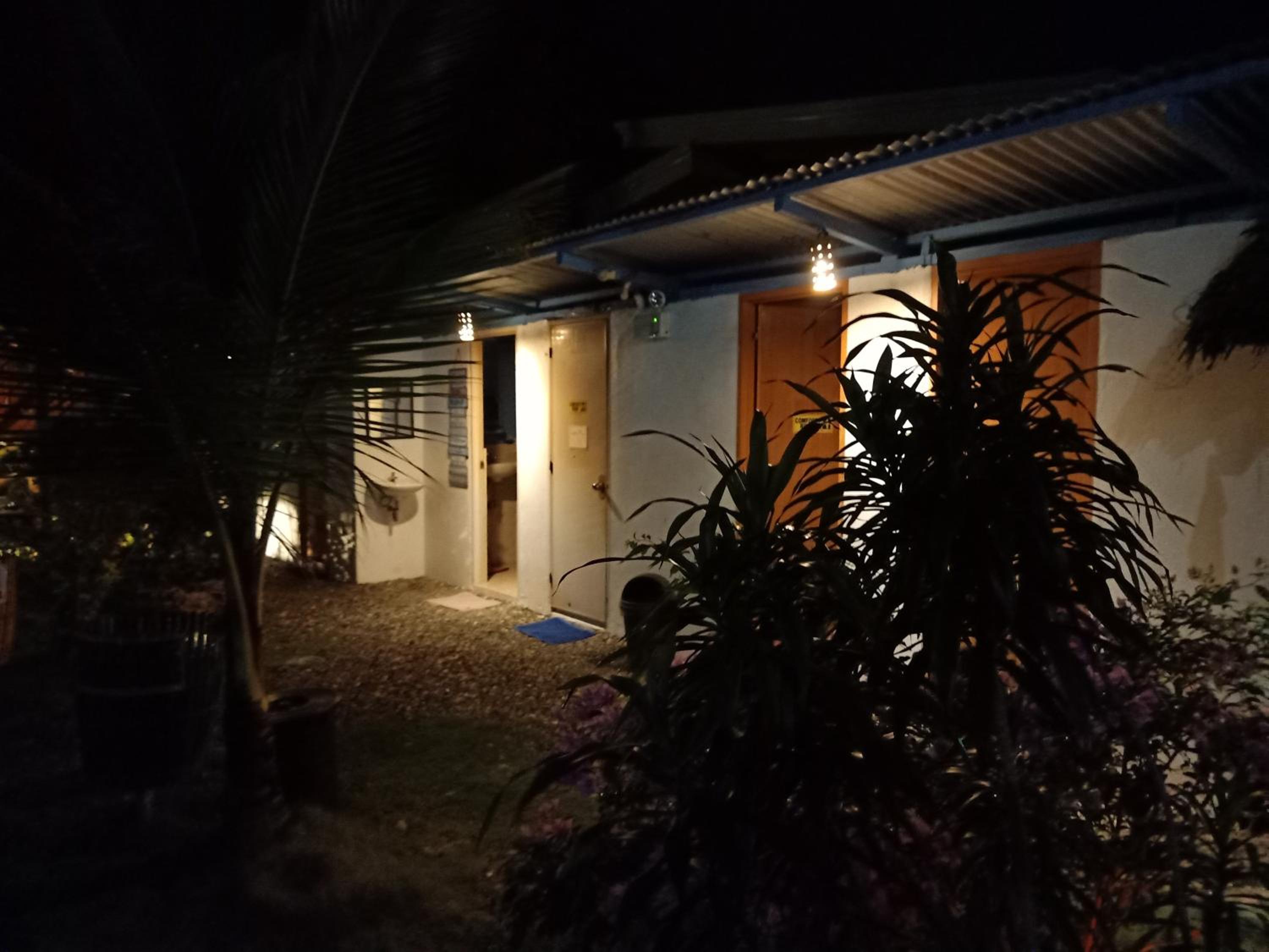 Photo 41