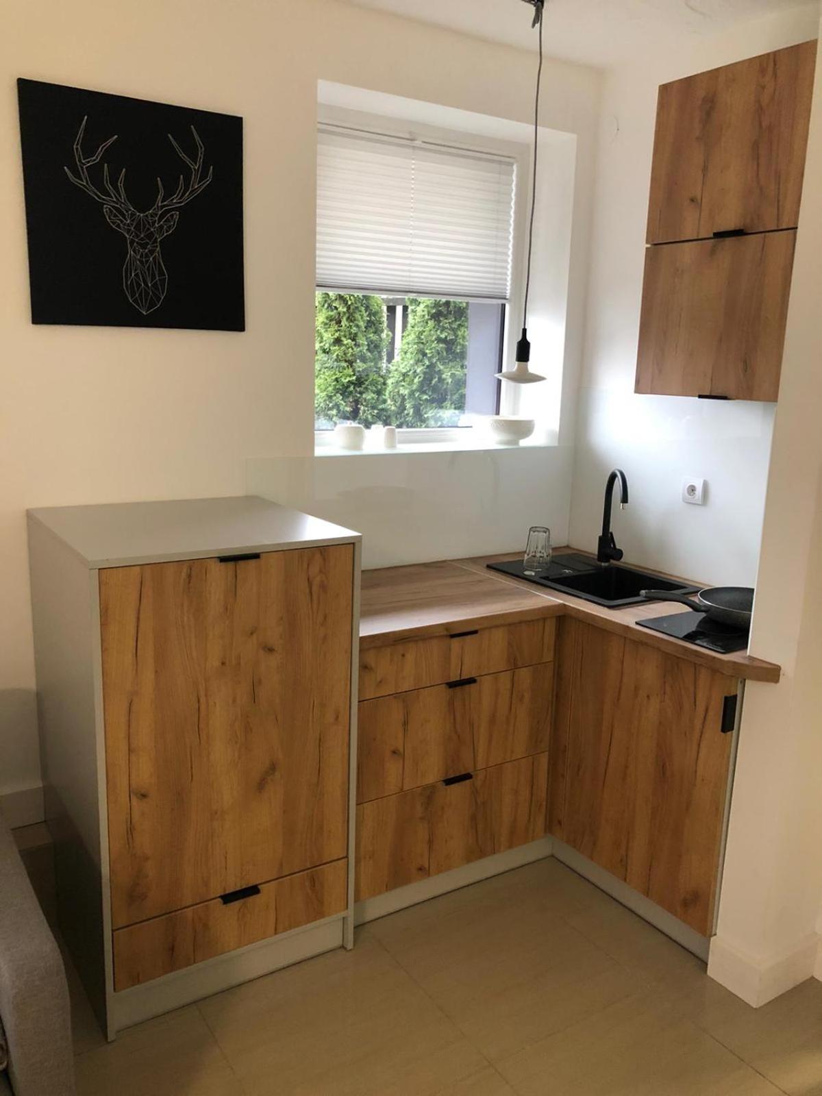 Apartament BeSkidSki view 5