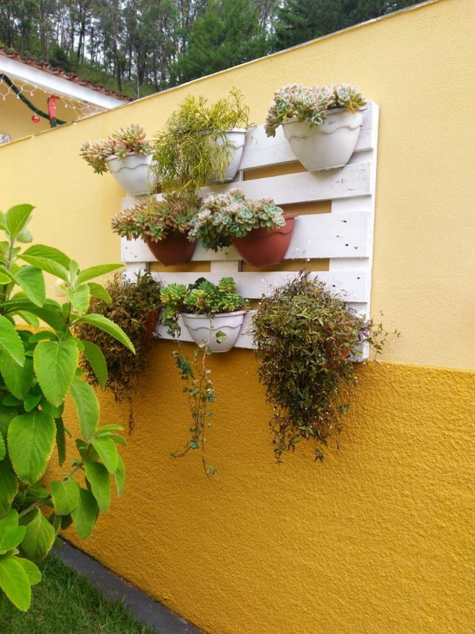 Residencia Pereira