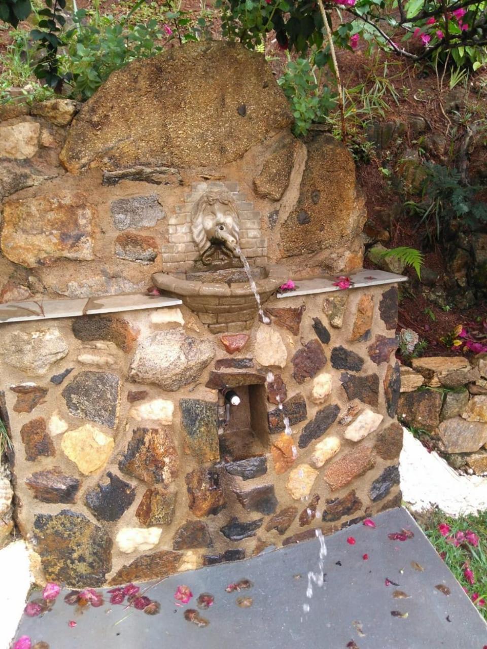 Residencia Pereira