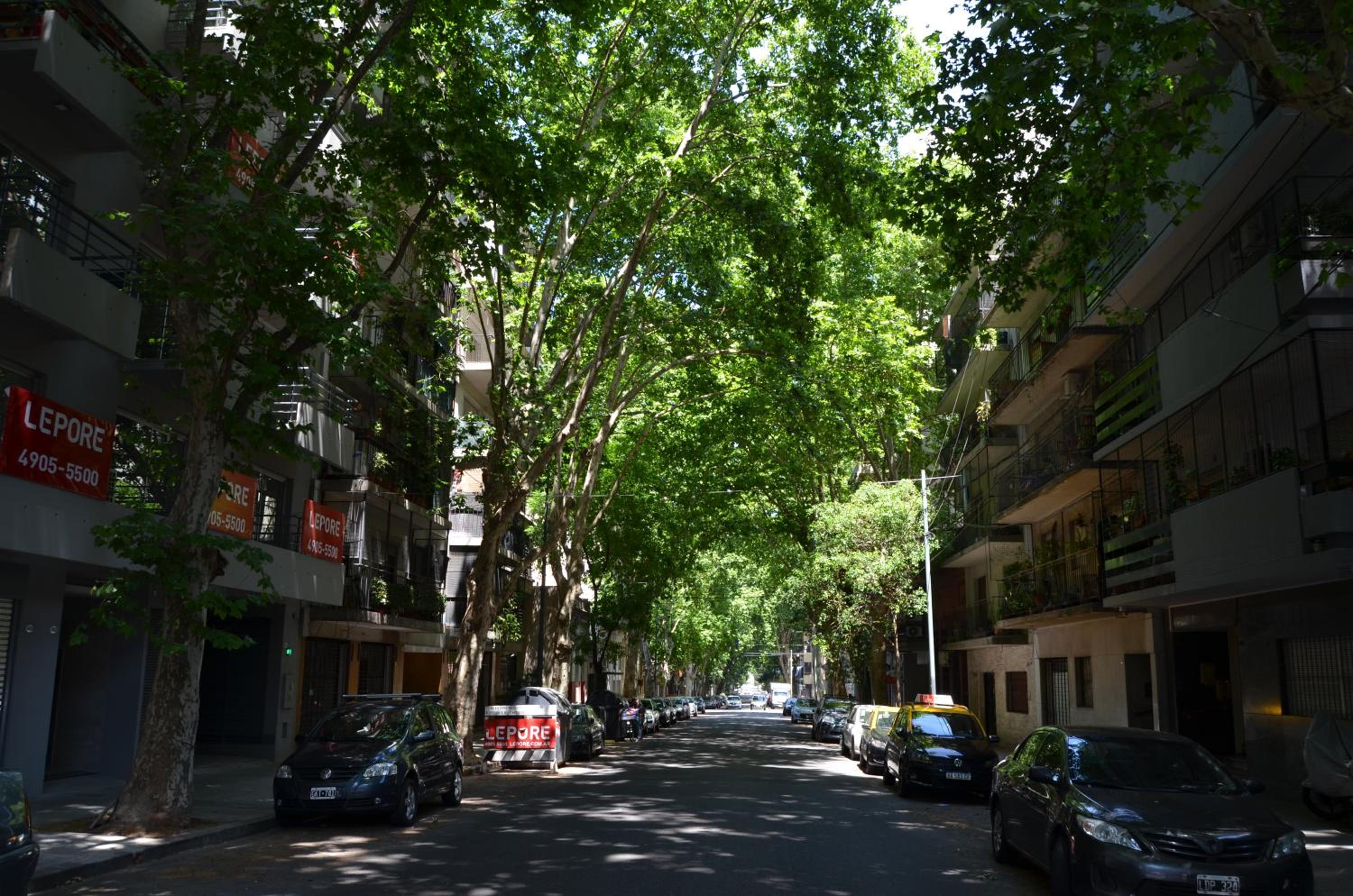 APARTAMENTO VIAJERO 2