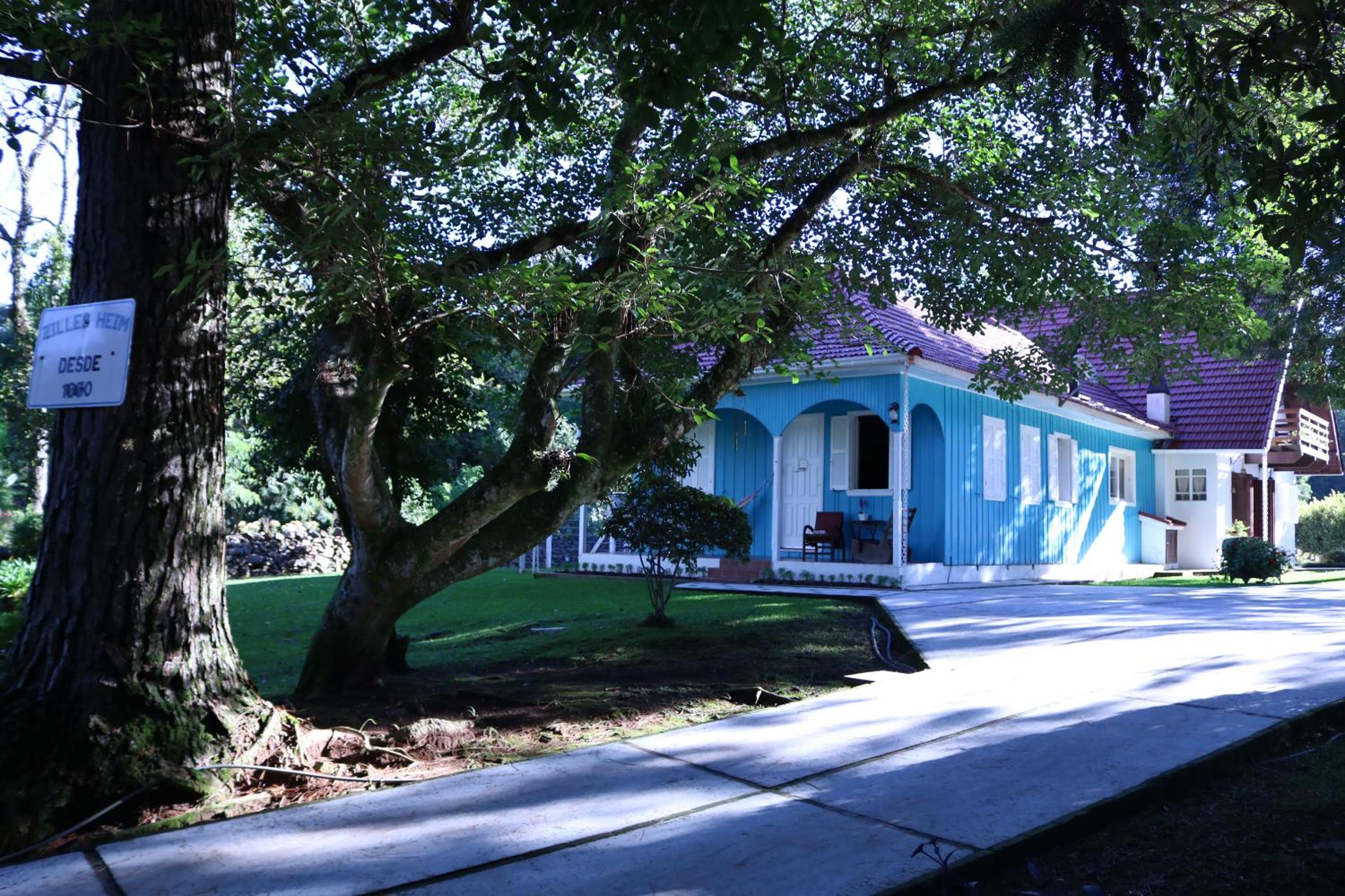 Photo 19