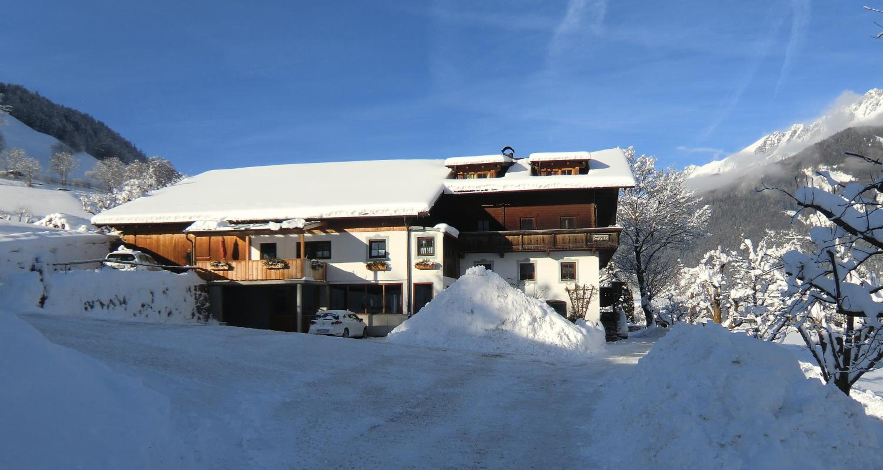 Pongitzerhof