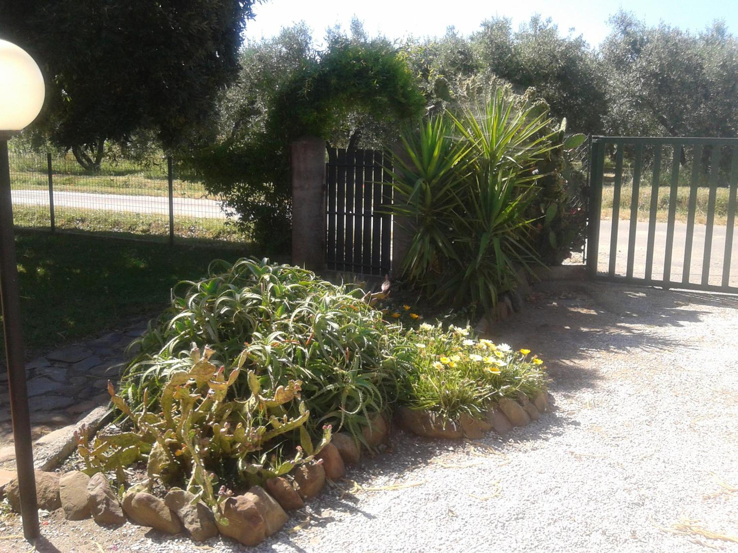 Photo 31