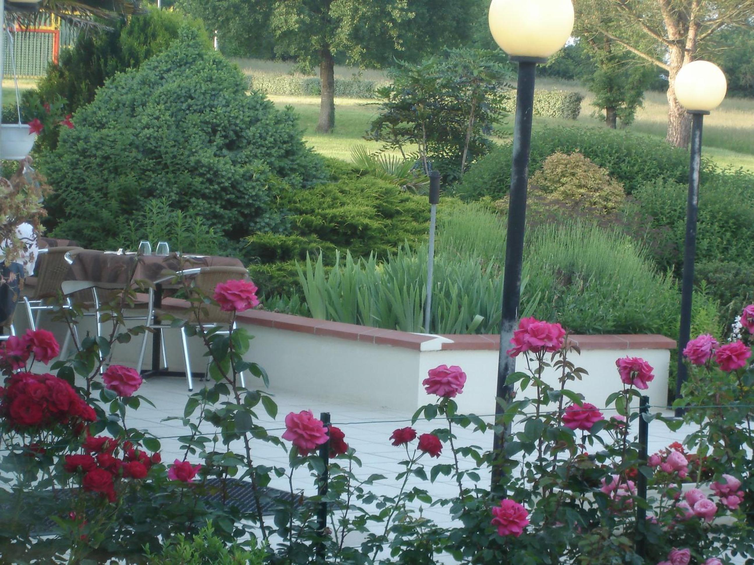 garden