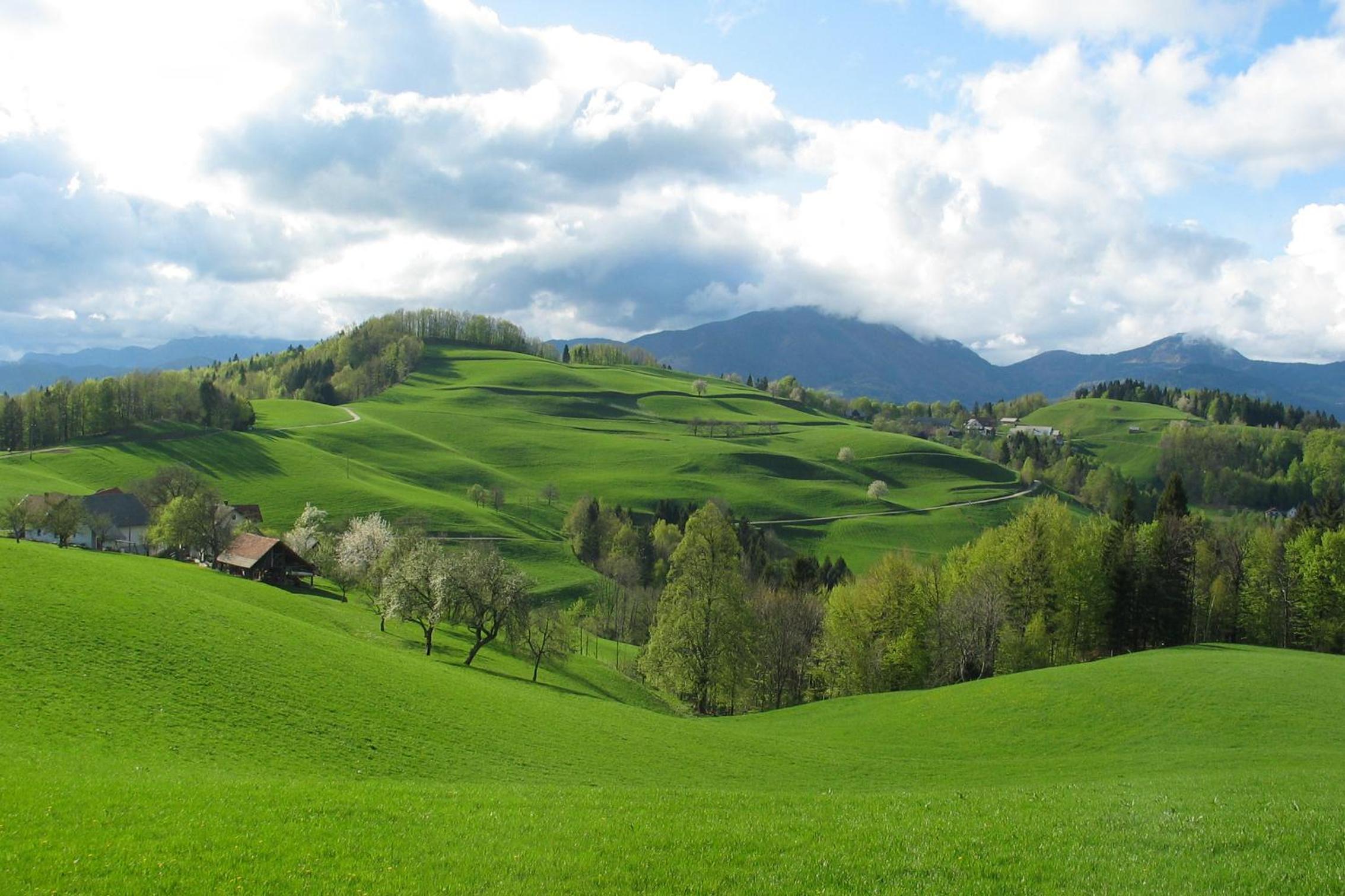 Tourist Farm Ljubica view 3