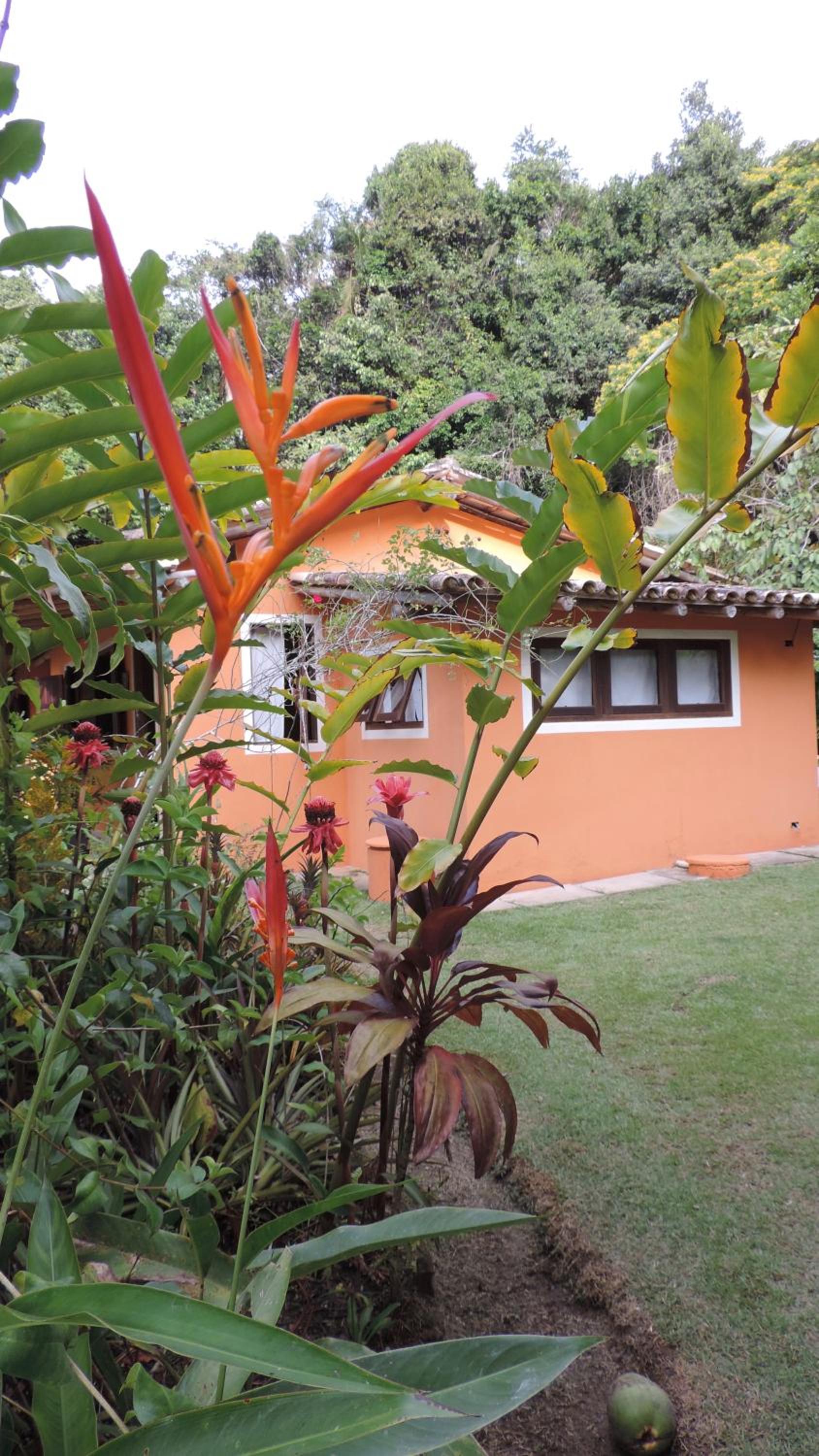 Canto Loredana