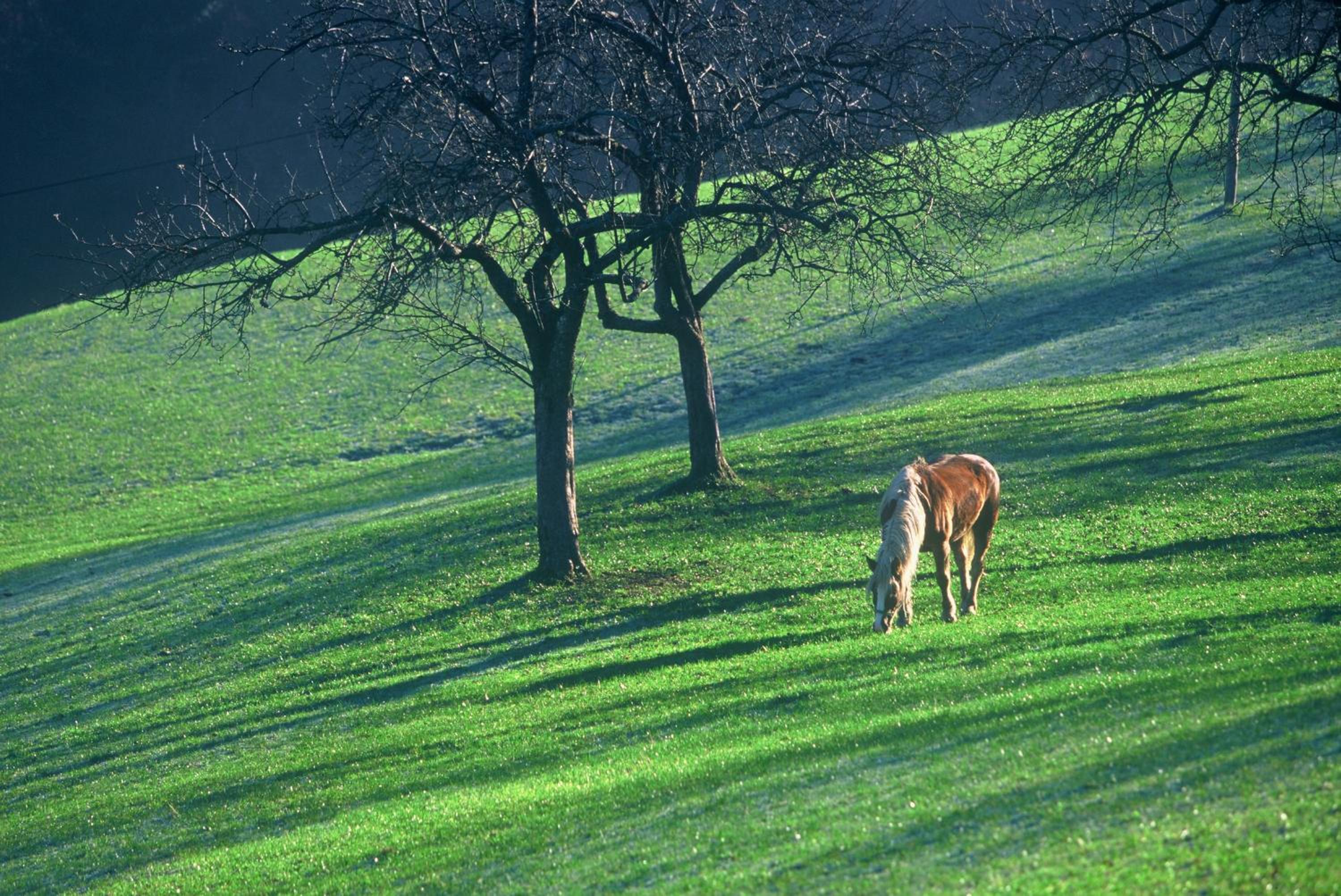 Tourist Farm Ljubica view 2