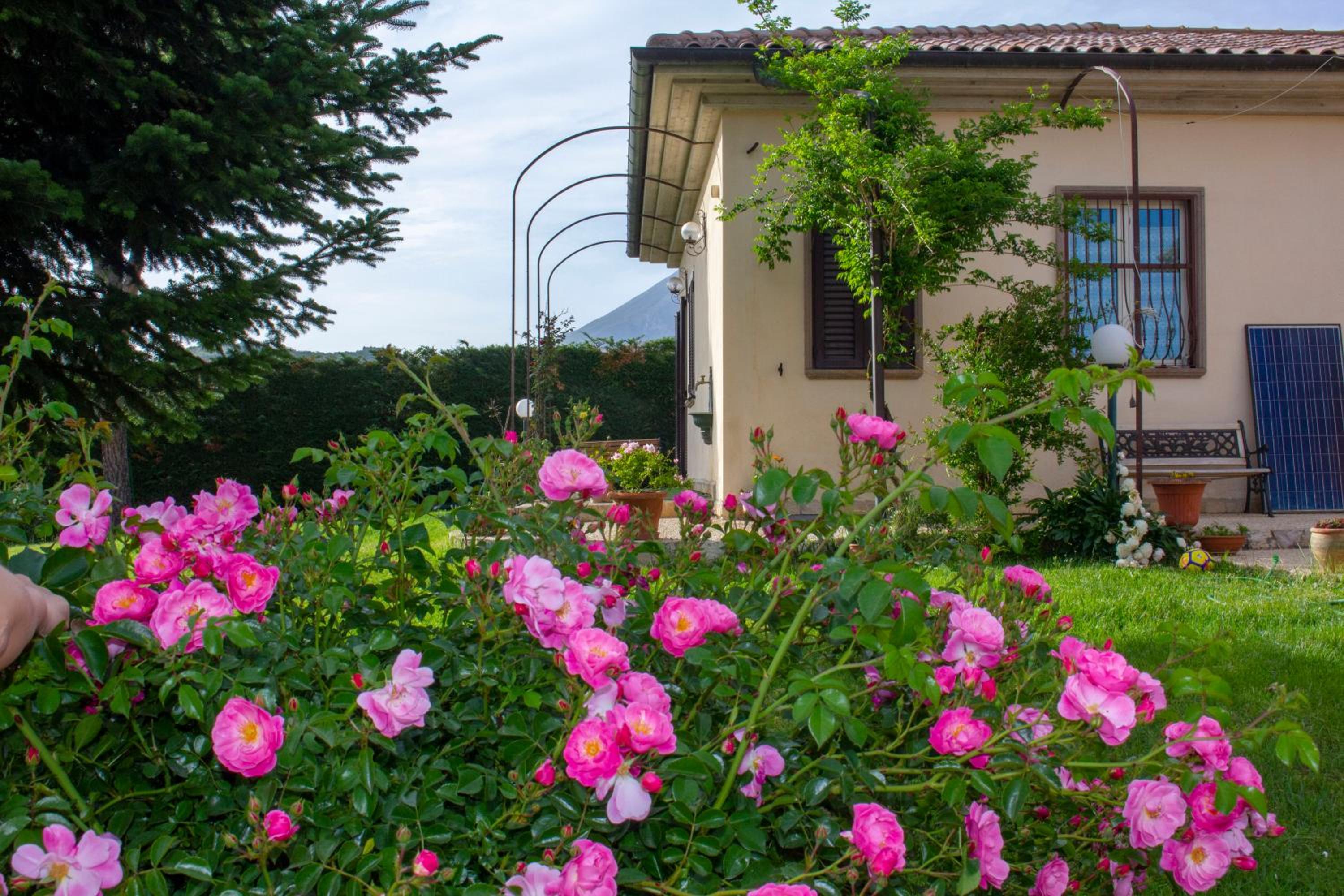 Villa Giulia view 2