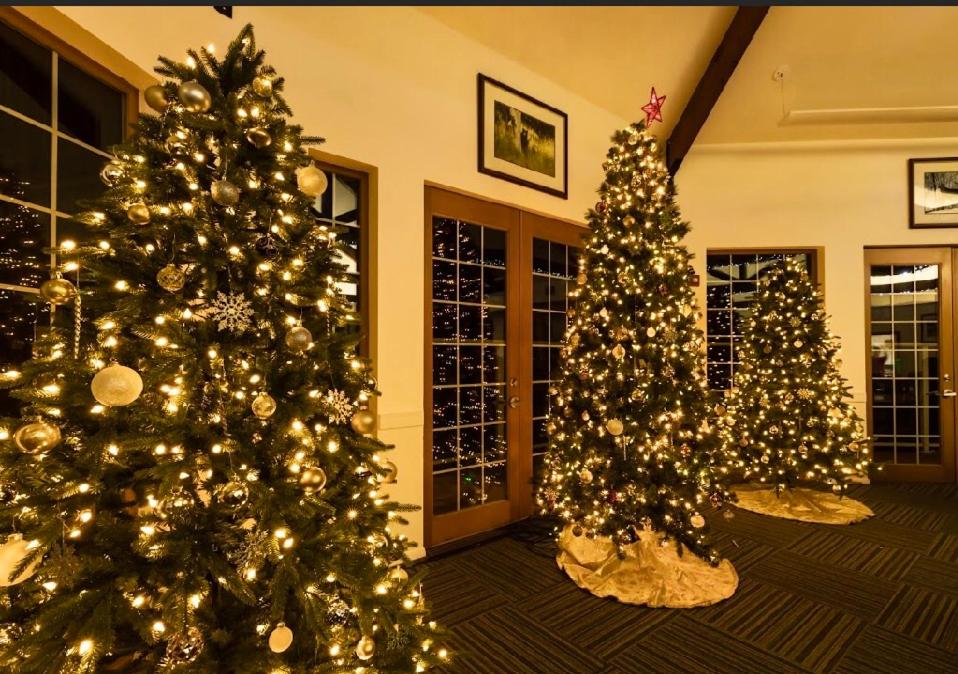 Lakeside Lodge and Suites