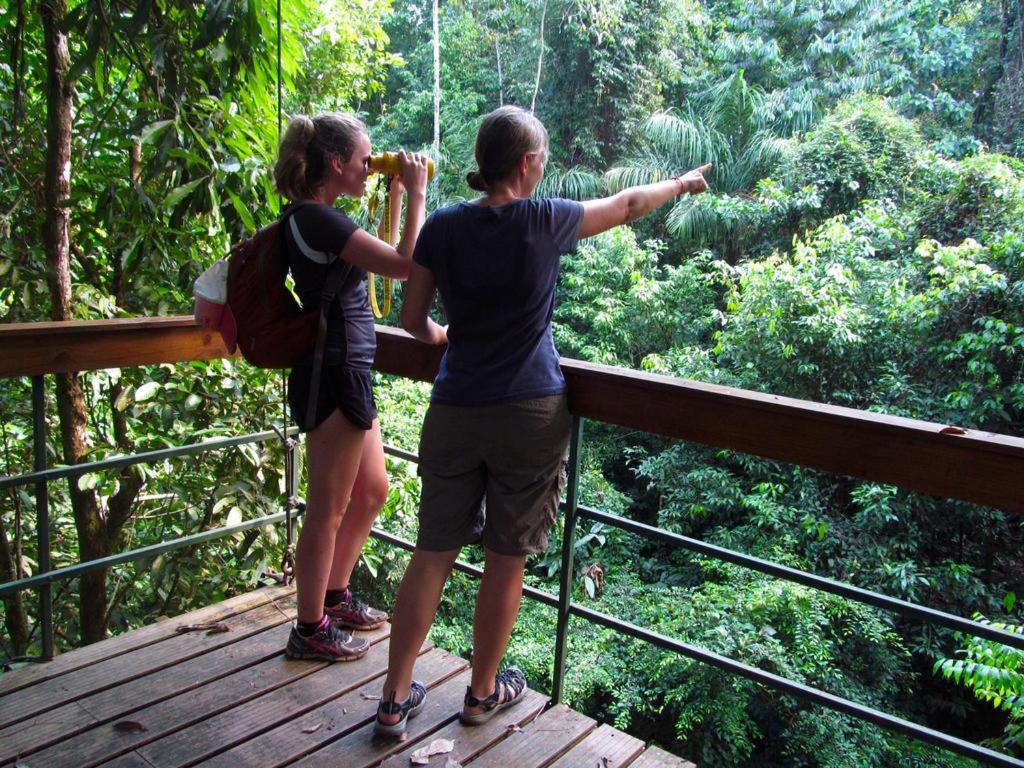 Corcovado Adventures
