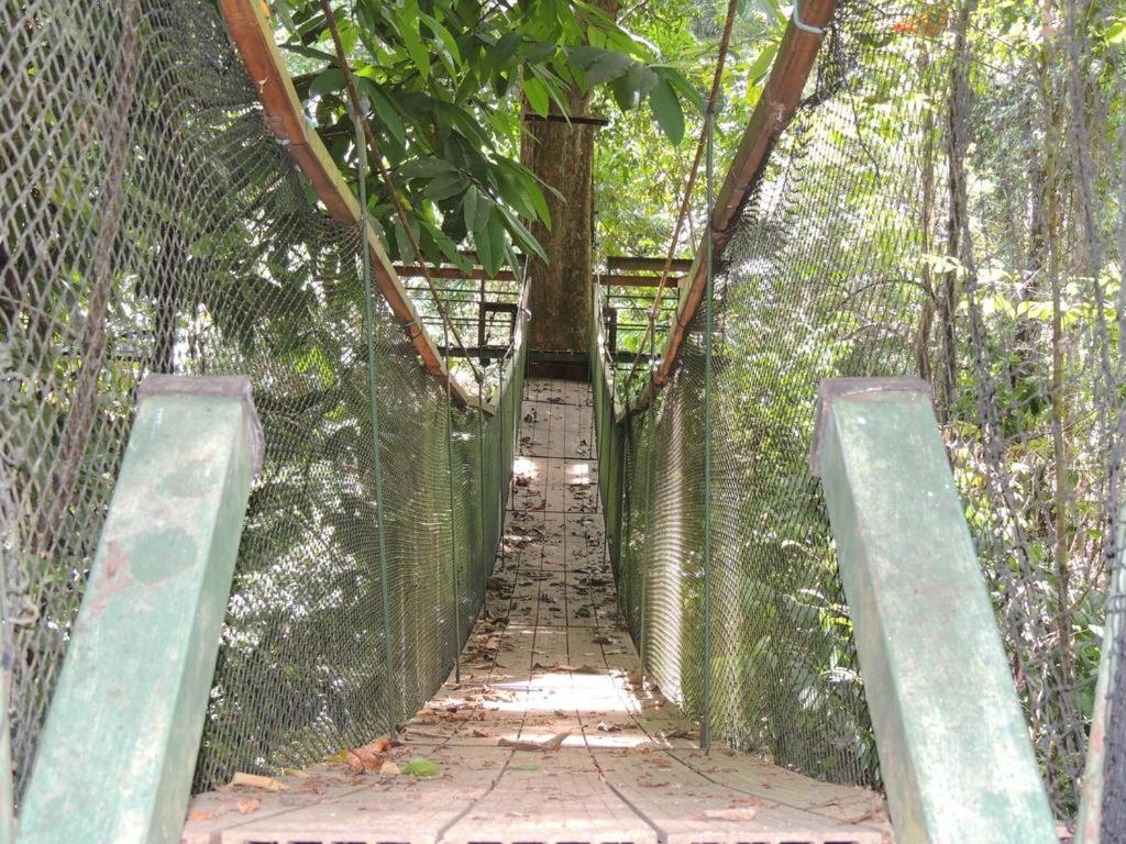 Corcovado Adventures