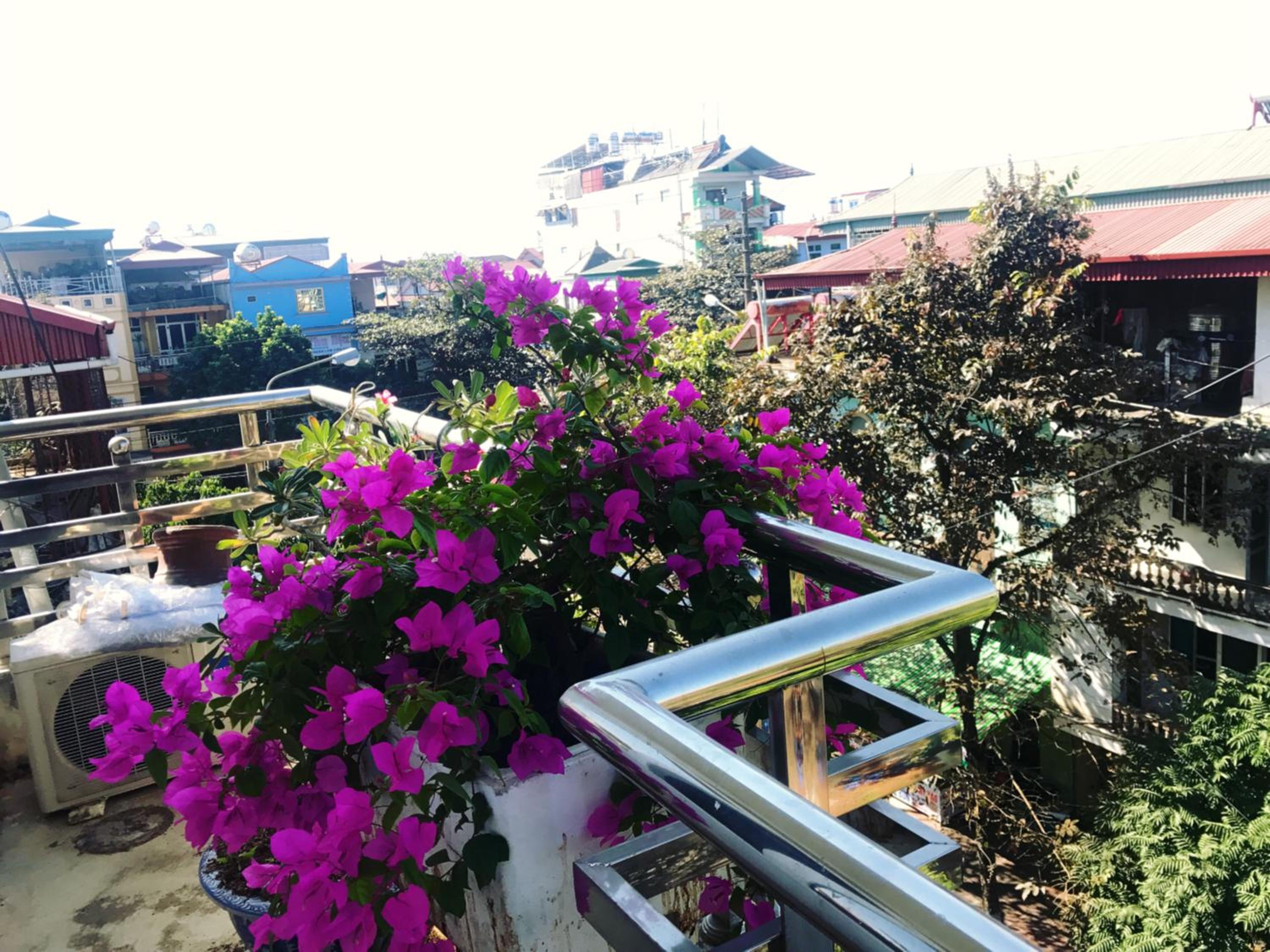 Tuan Minh Guest House view 4