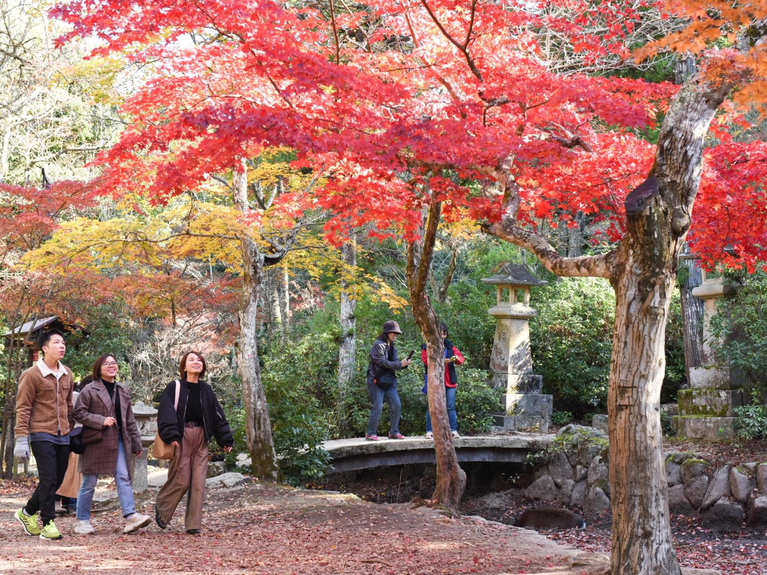 Miyajima Morinoyado