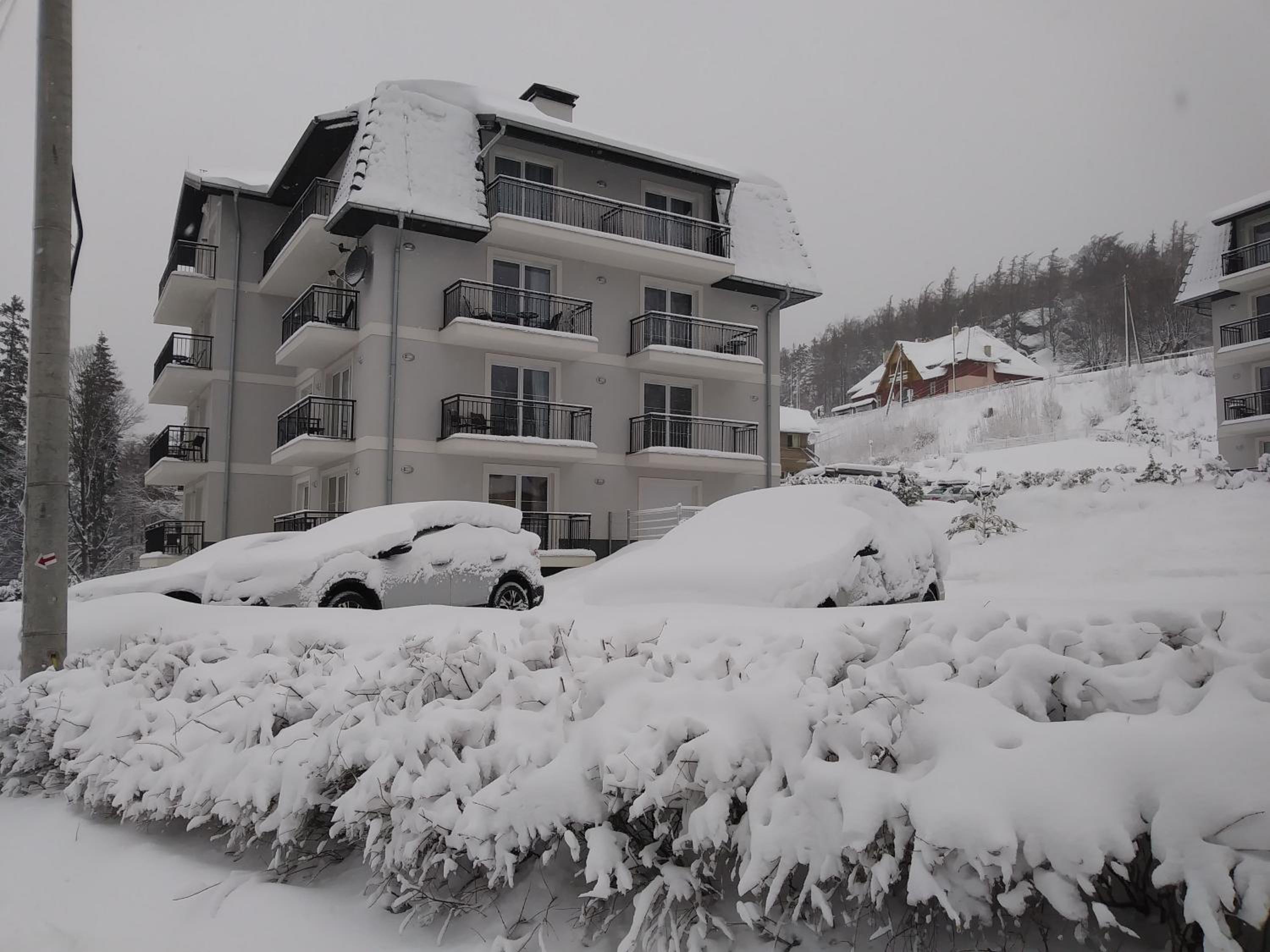 Apartamenty Amika