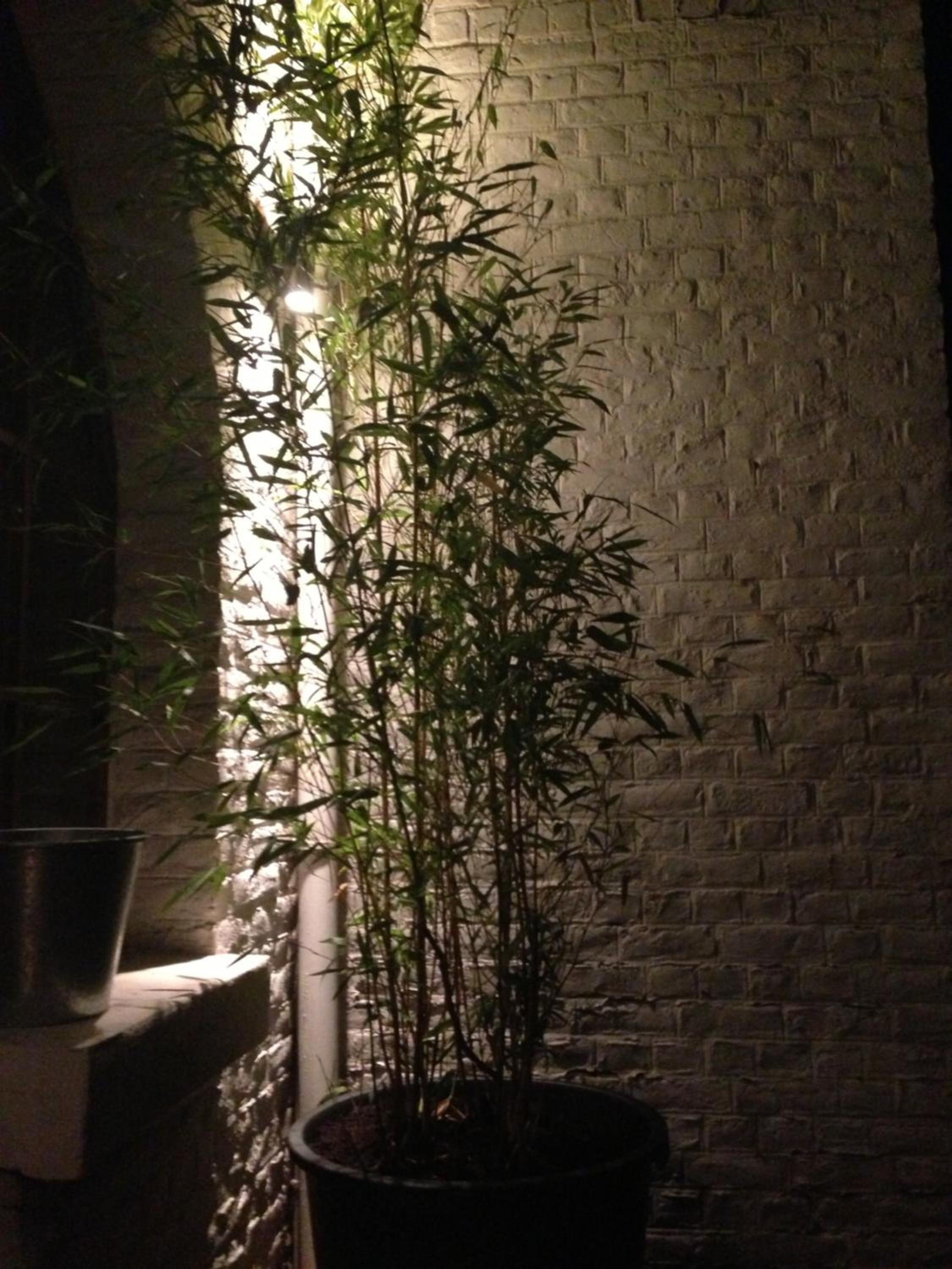 Photo 62