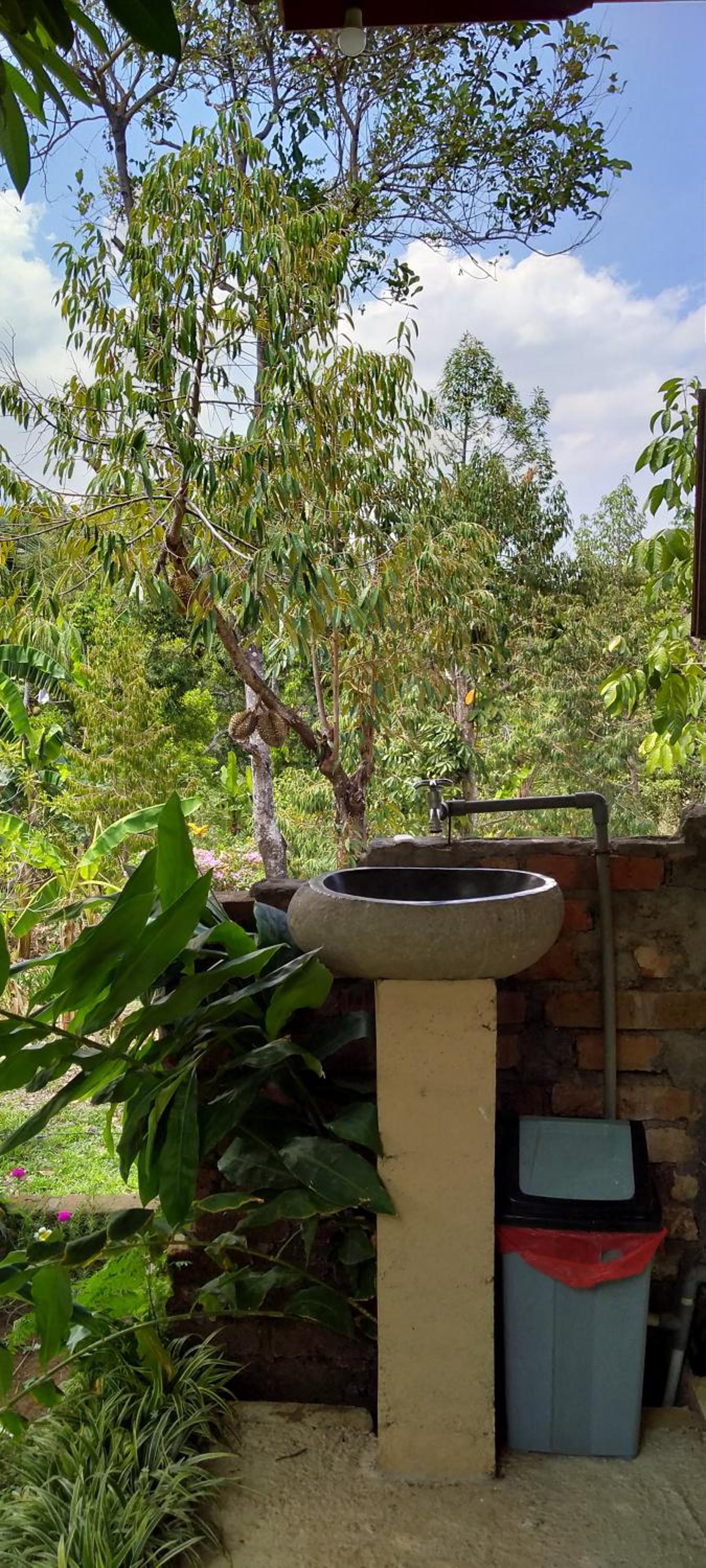 DWM ESA di Kubu Homestay By Reccoma