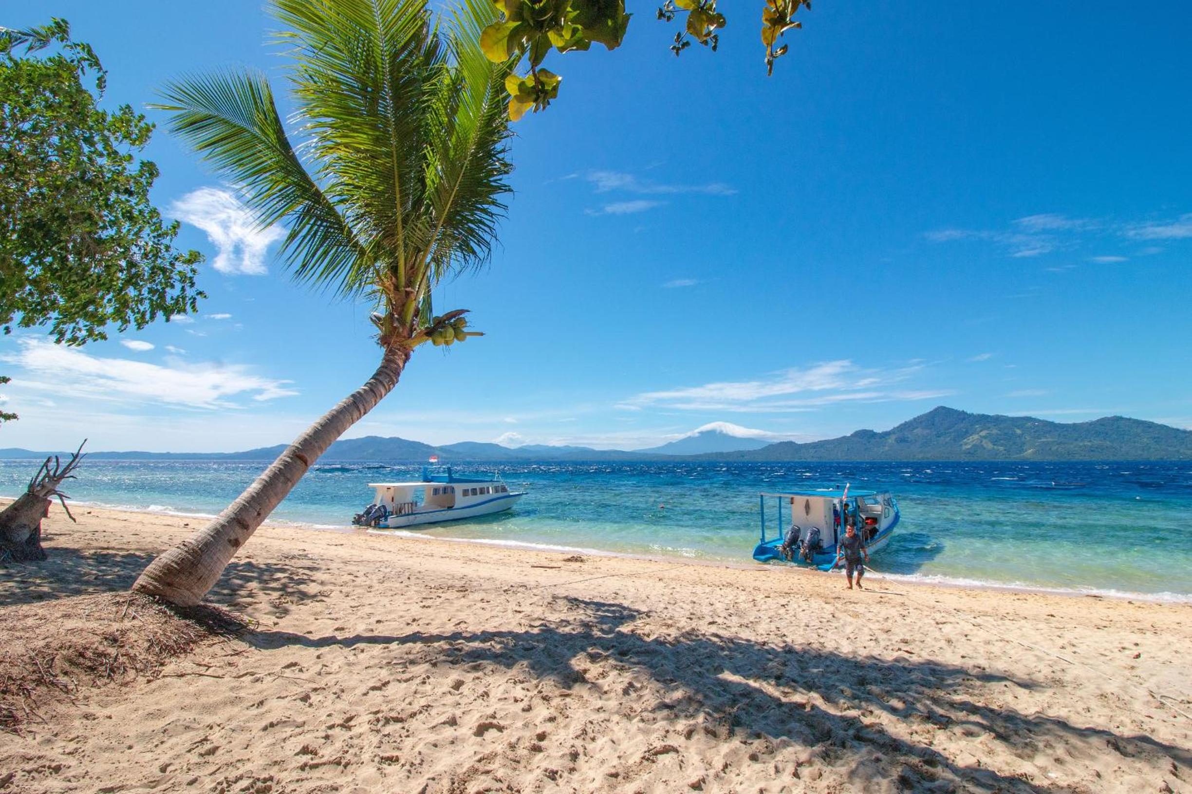 Kuda Laut Boutique Dive Resort view 5