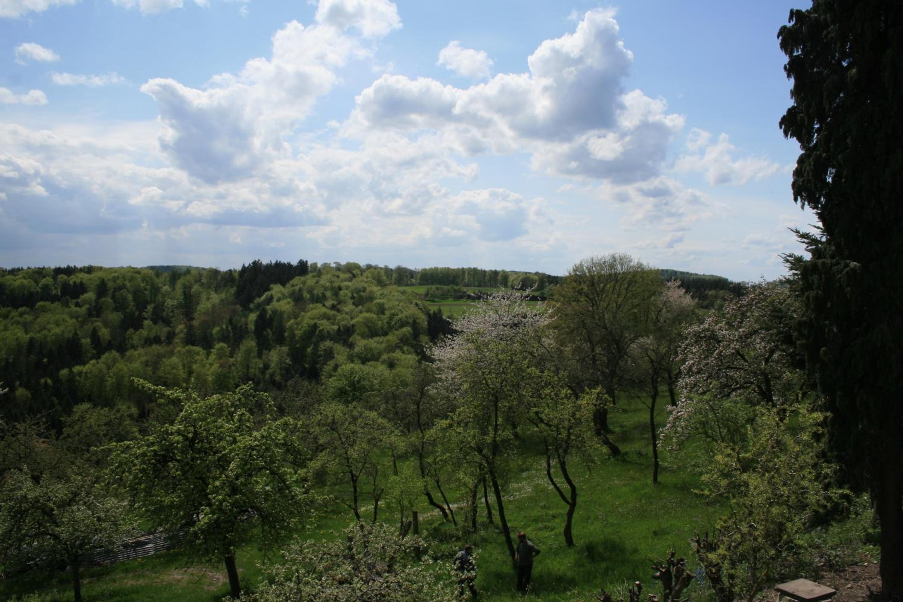 Fewo im Naturpark view 4