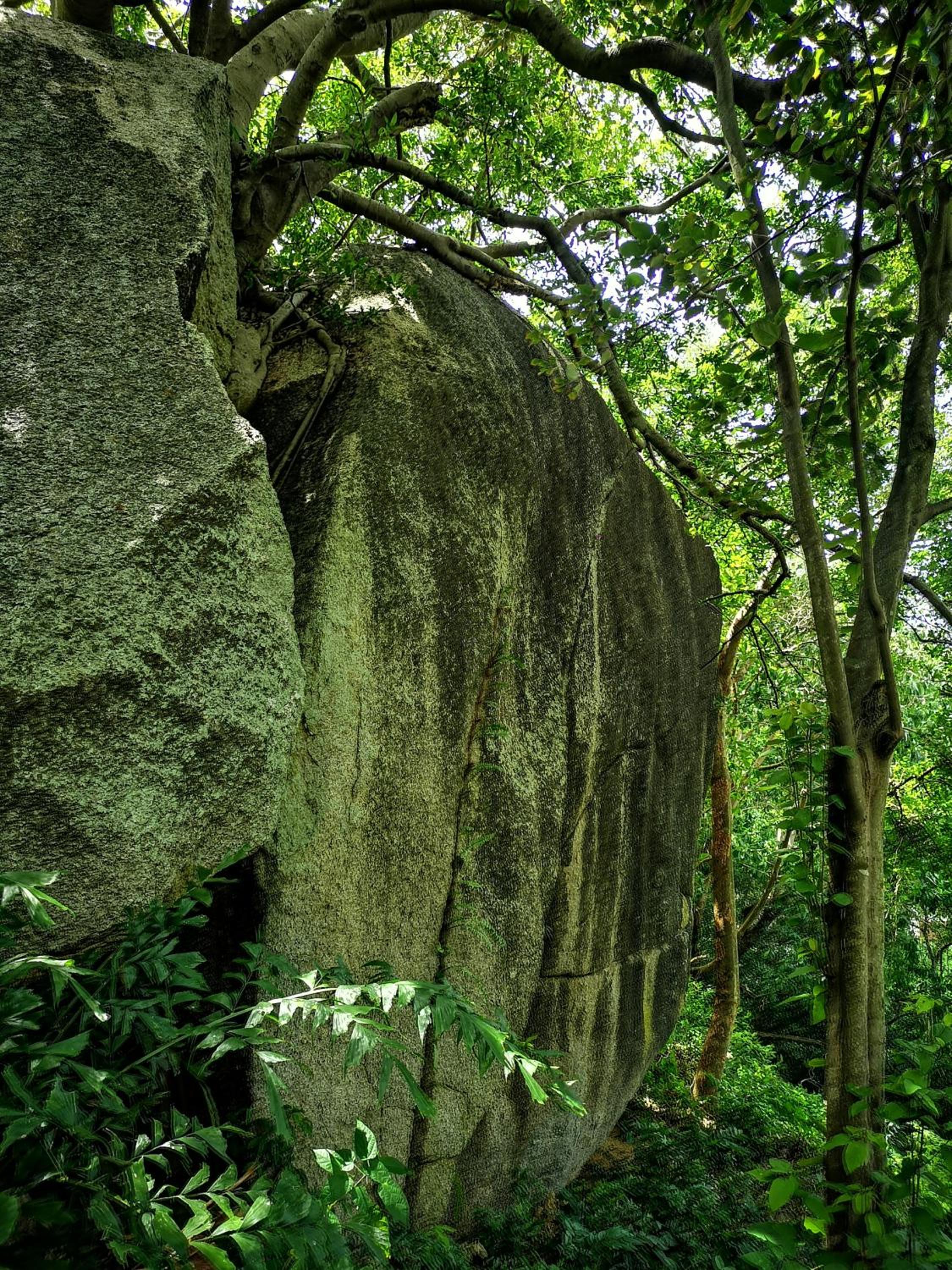 Photo 40