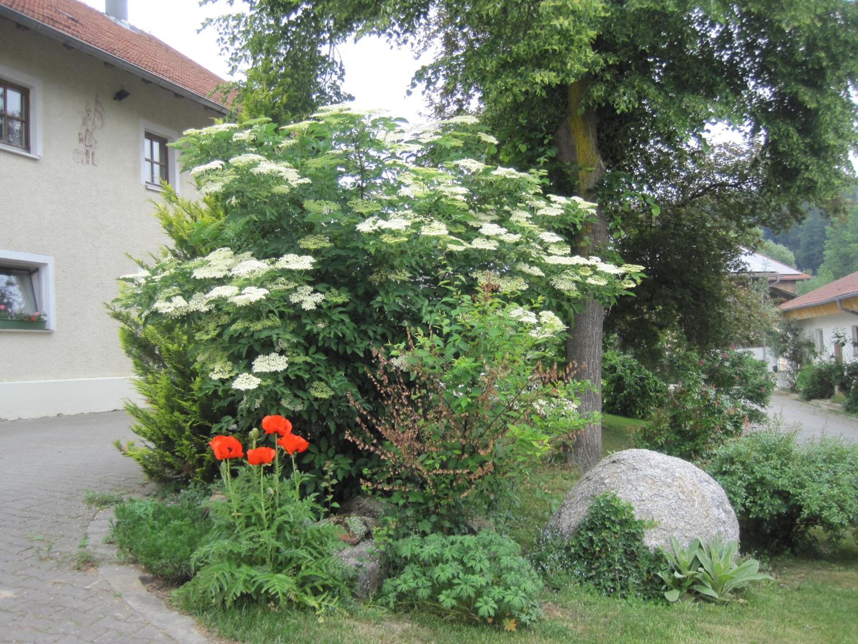 Gschwandnerhof