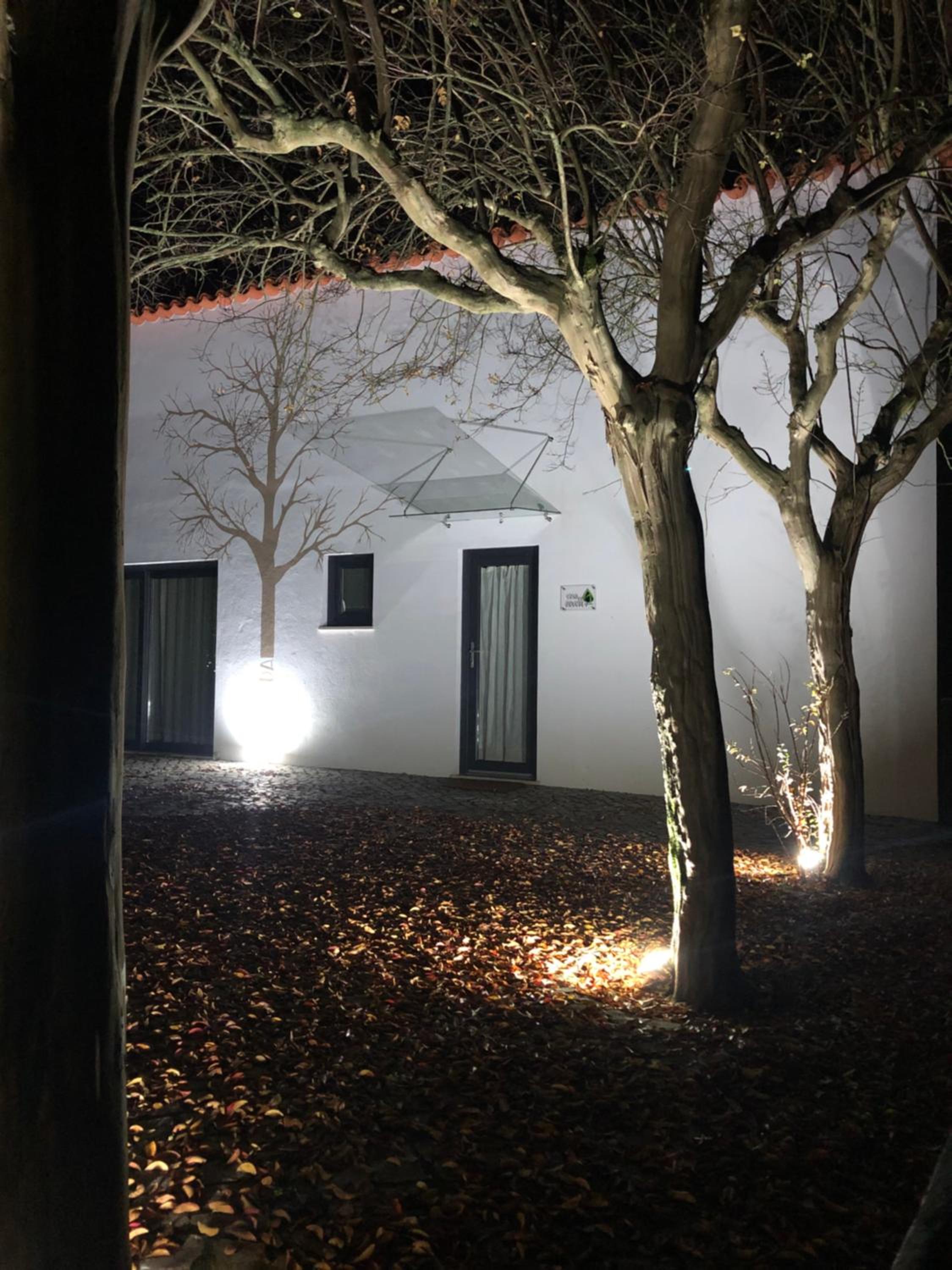 Horta dos Cedros