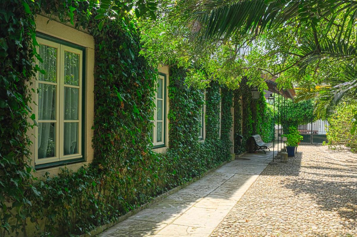 Hotel Casa Do Foral - Image 1