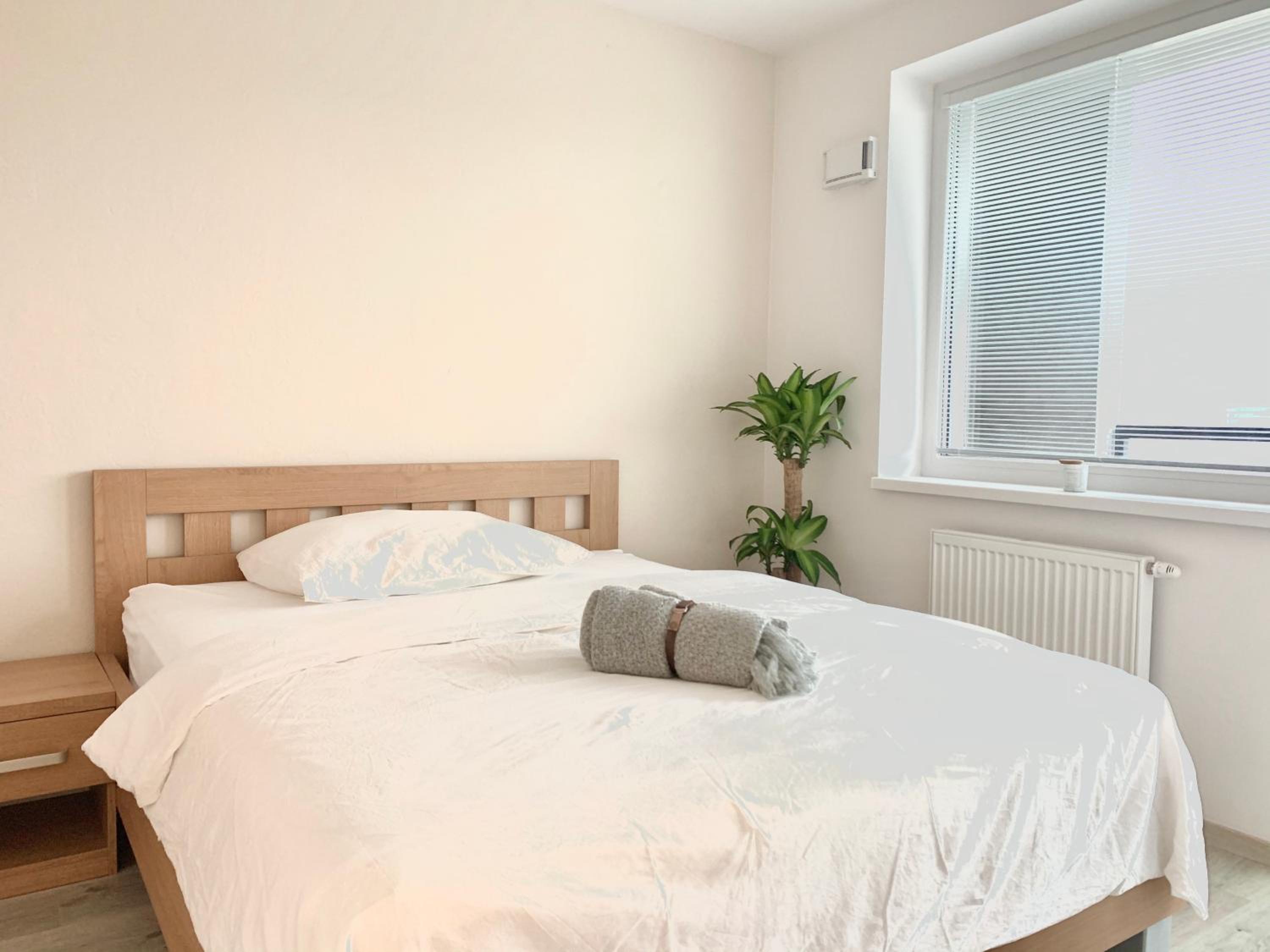 Elegant, bright spacious apartment in Bratislava center view 5