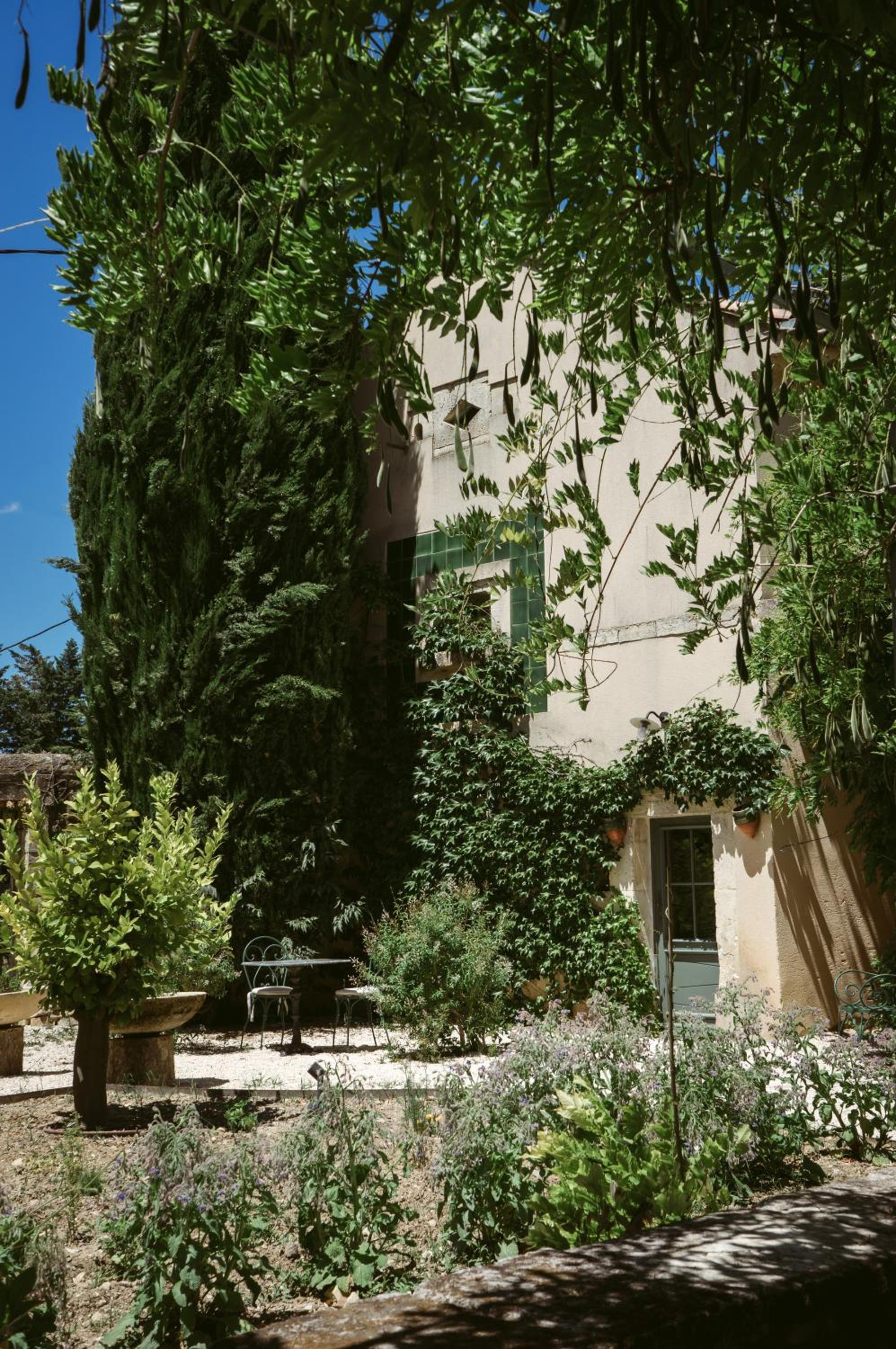 garden