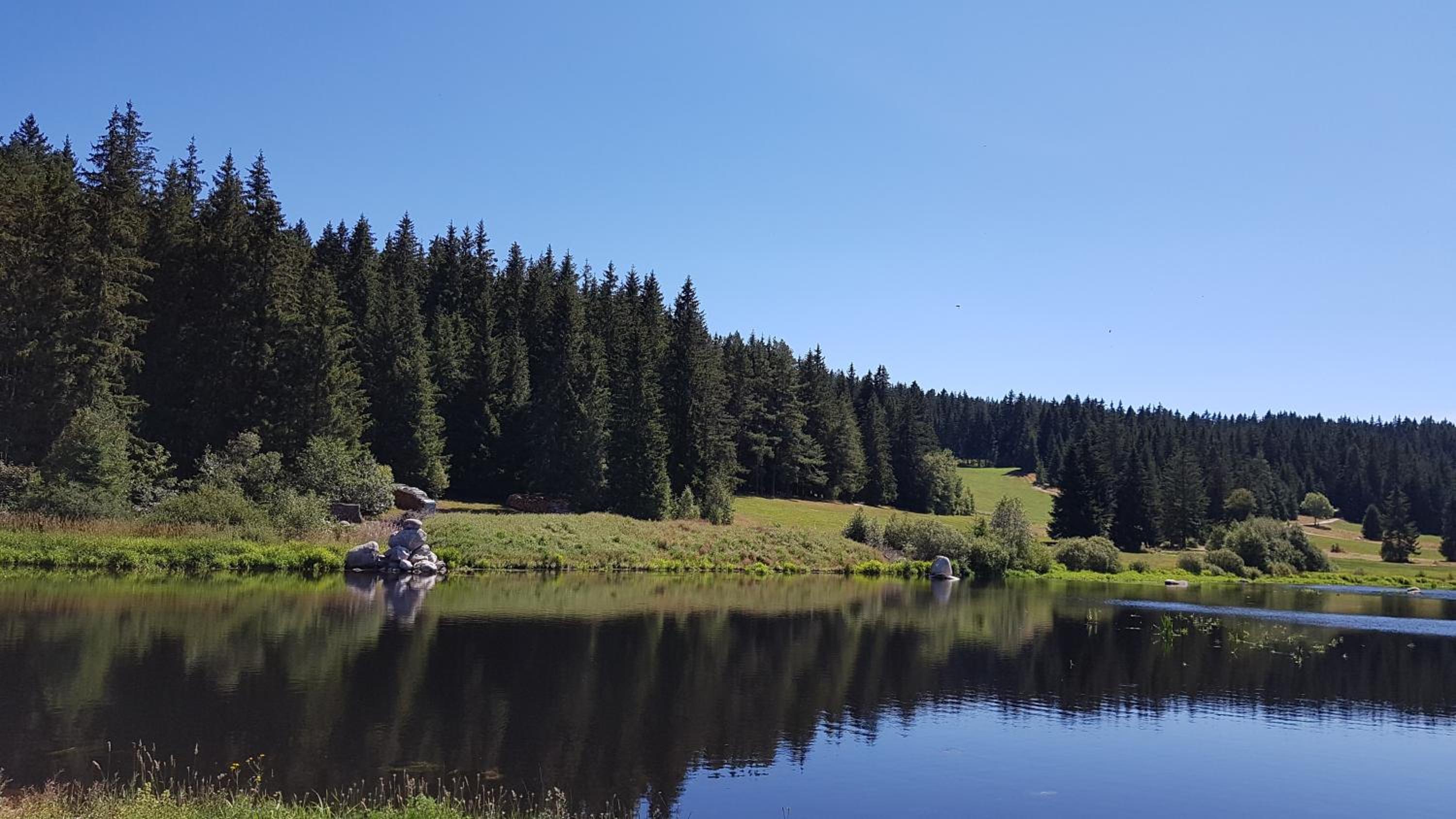 Schwarzwaldblick view 5