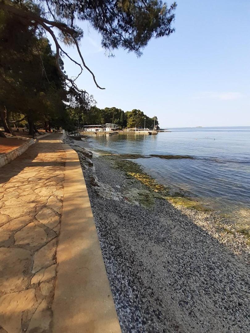 Apartment Dragana FAP 22 green oazis near the beach - Property Image 84