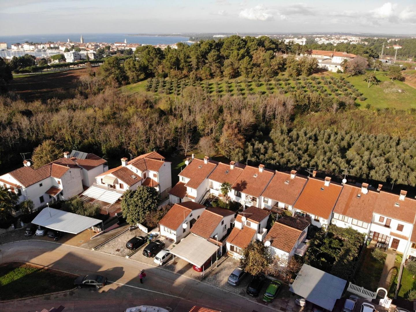 Apartment Dragana FAP 22 green oazis near the beach - Property Image 14