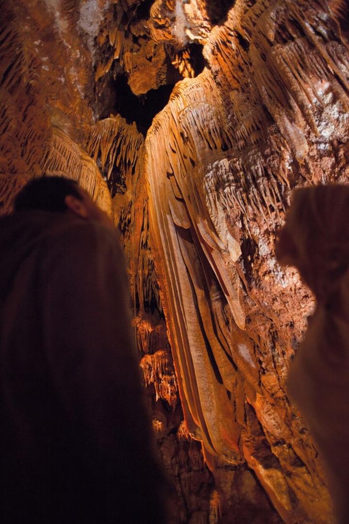 Apartment Dragana FAP 22 green oazis near the beach - Property Image 26