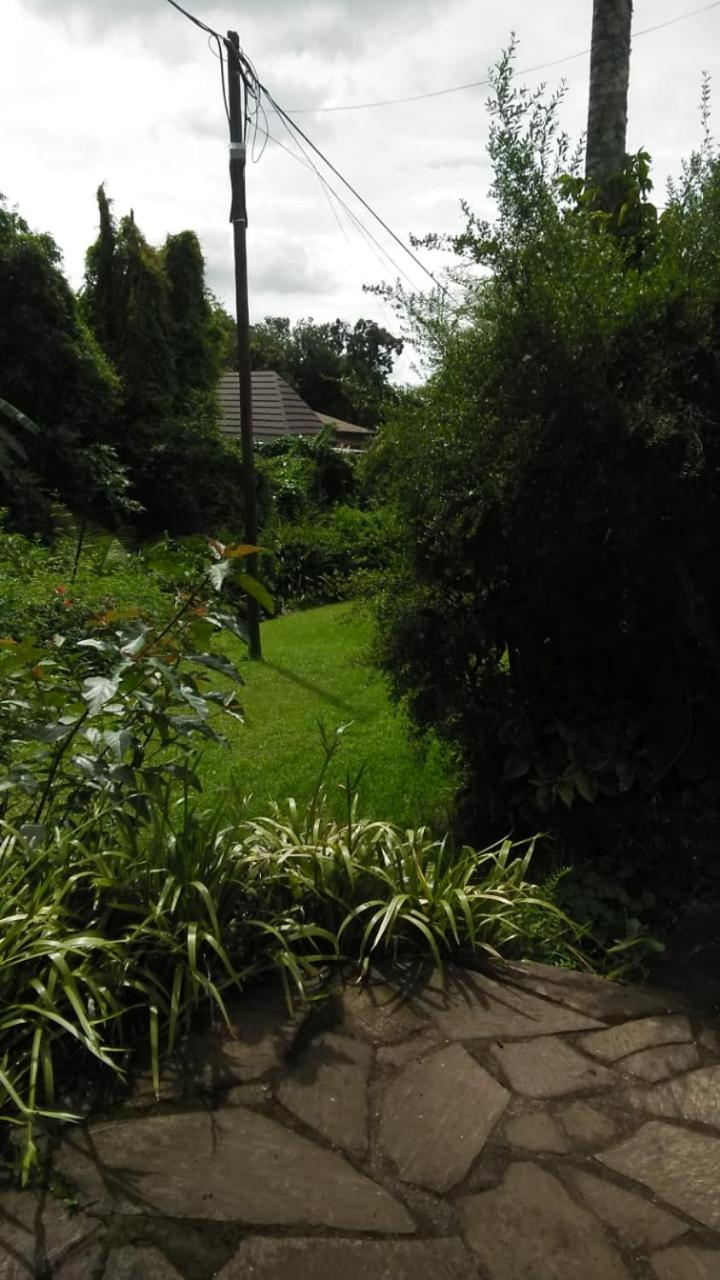 Photo 33