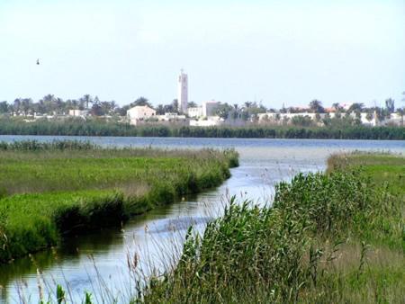 Photo 49