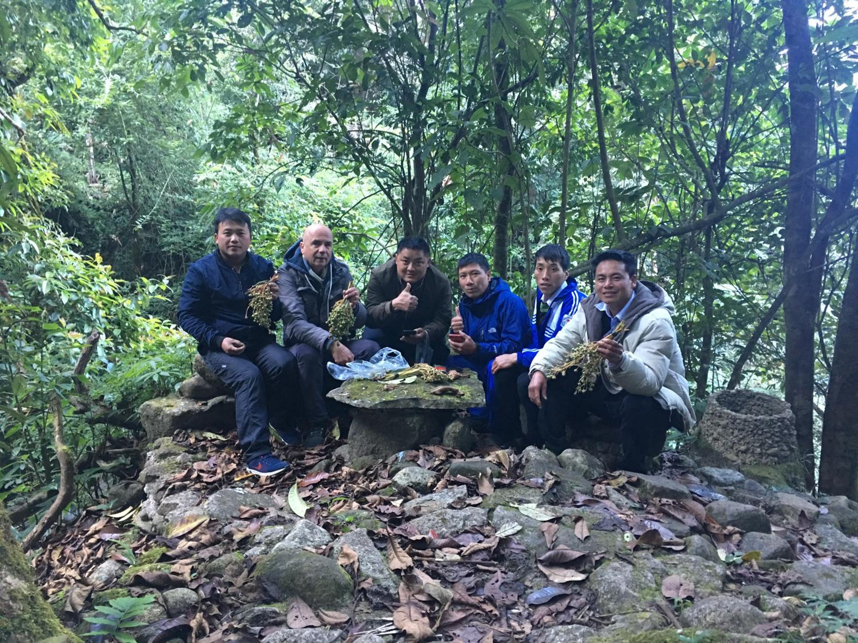 Hello Mu Cang Chai Homestay & Tours