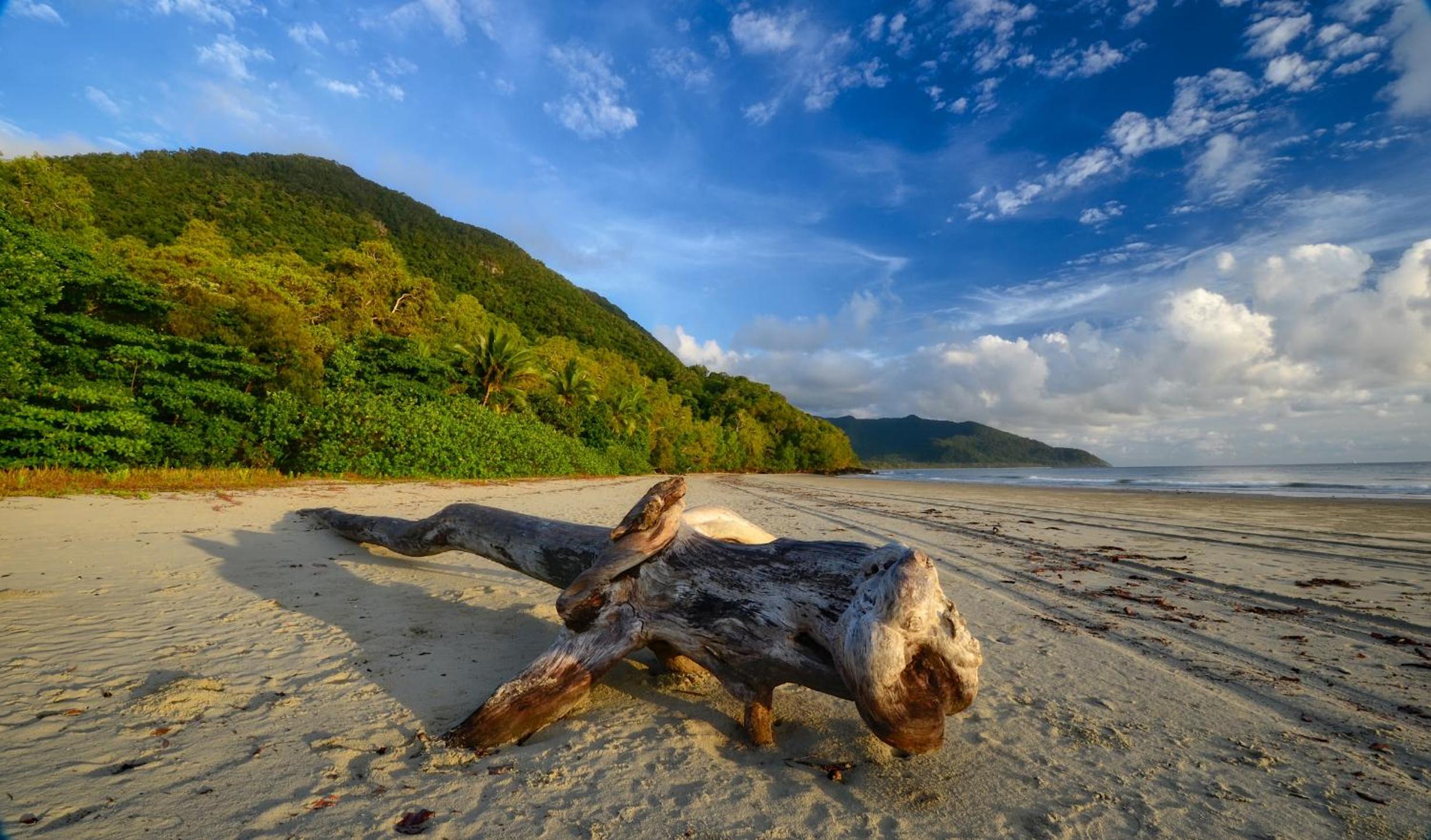 Thornton Beach Bungalows Daintree