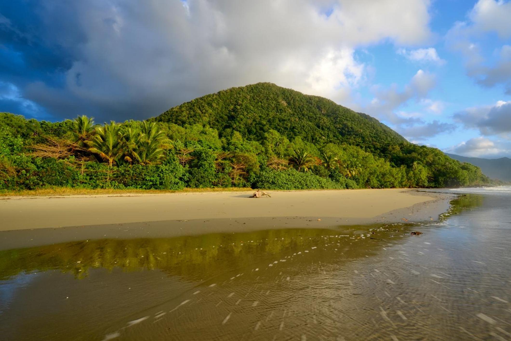 Thornton Beach Bungalows Daintree
