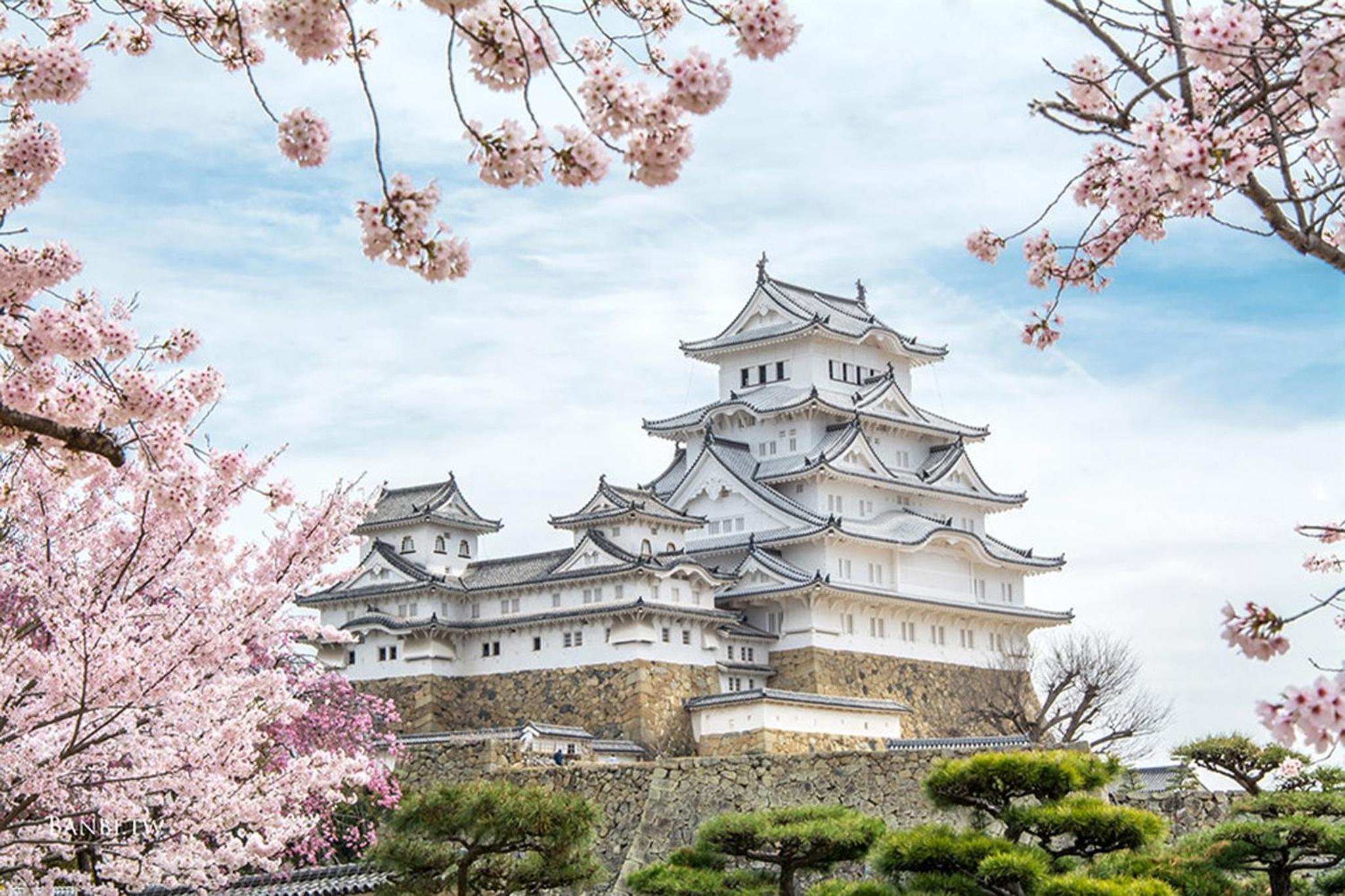 出来島サクラハウス一戸建 Sakura House Terrace 阪神出来島駅徒歩2分 USJ近く Dekijima