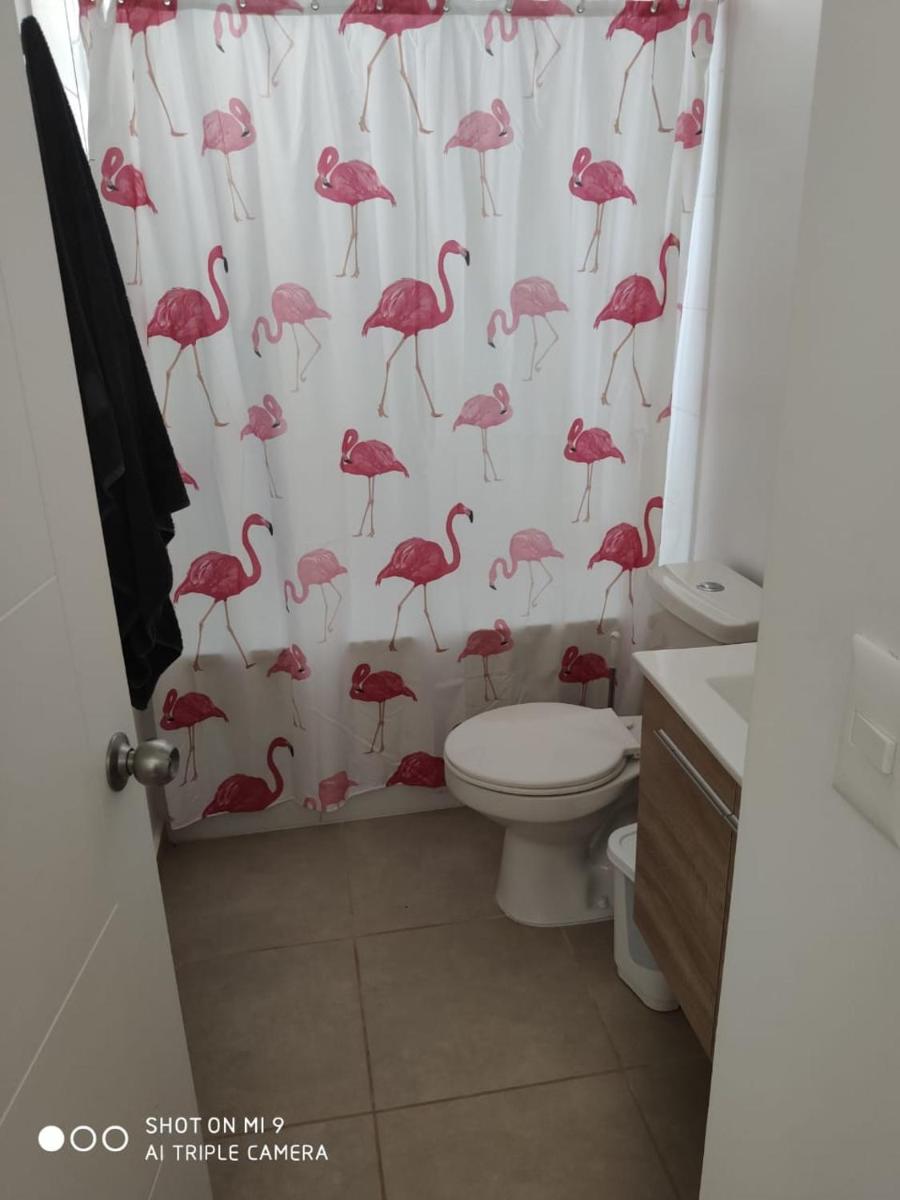 Departamento Papudo