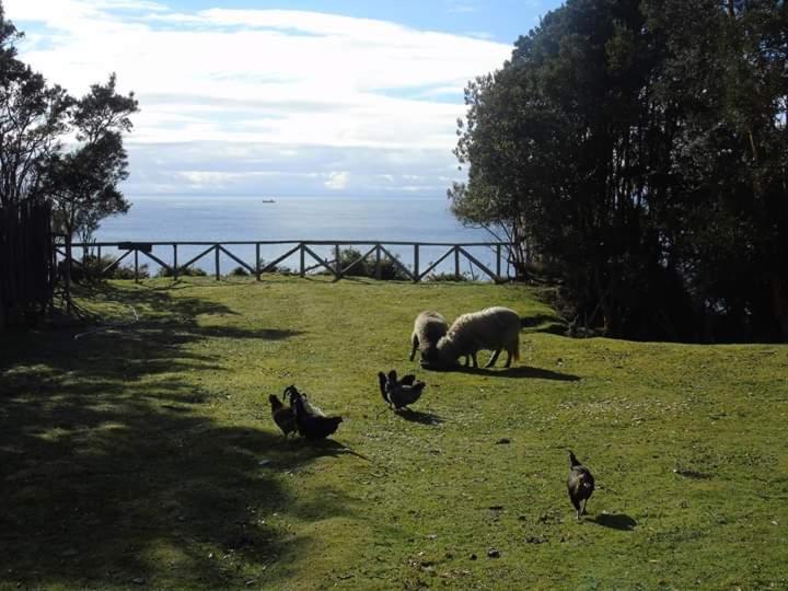 La Ranchita de Queilen