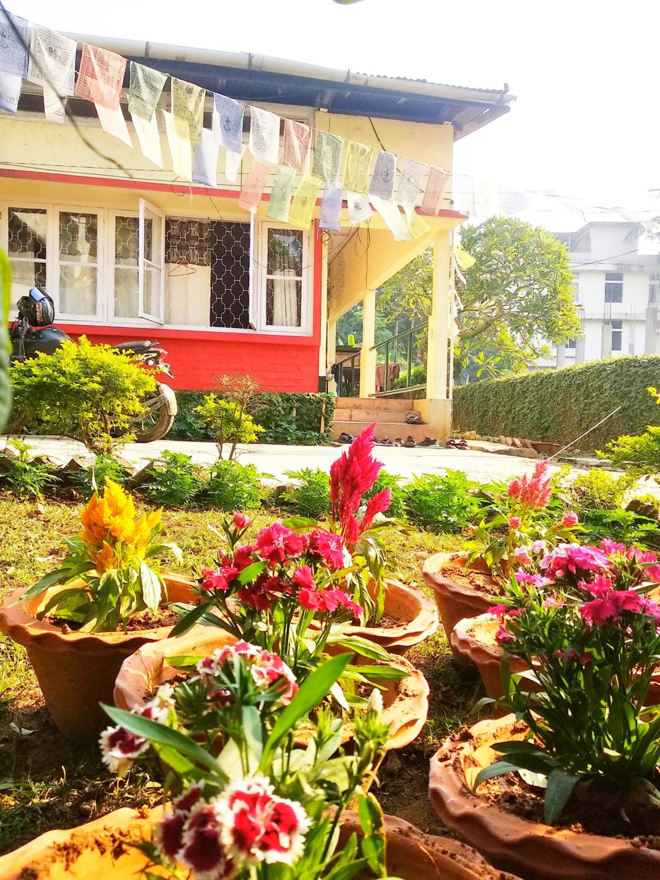 Photo 12